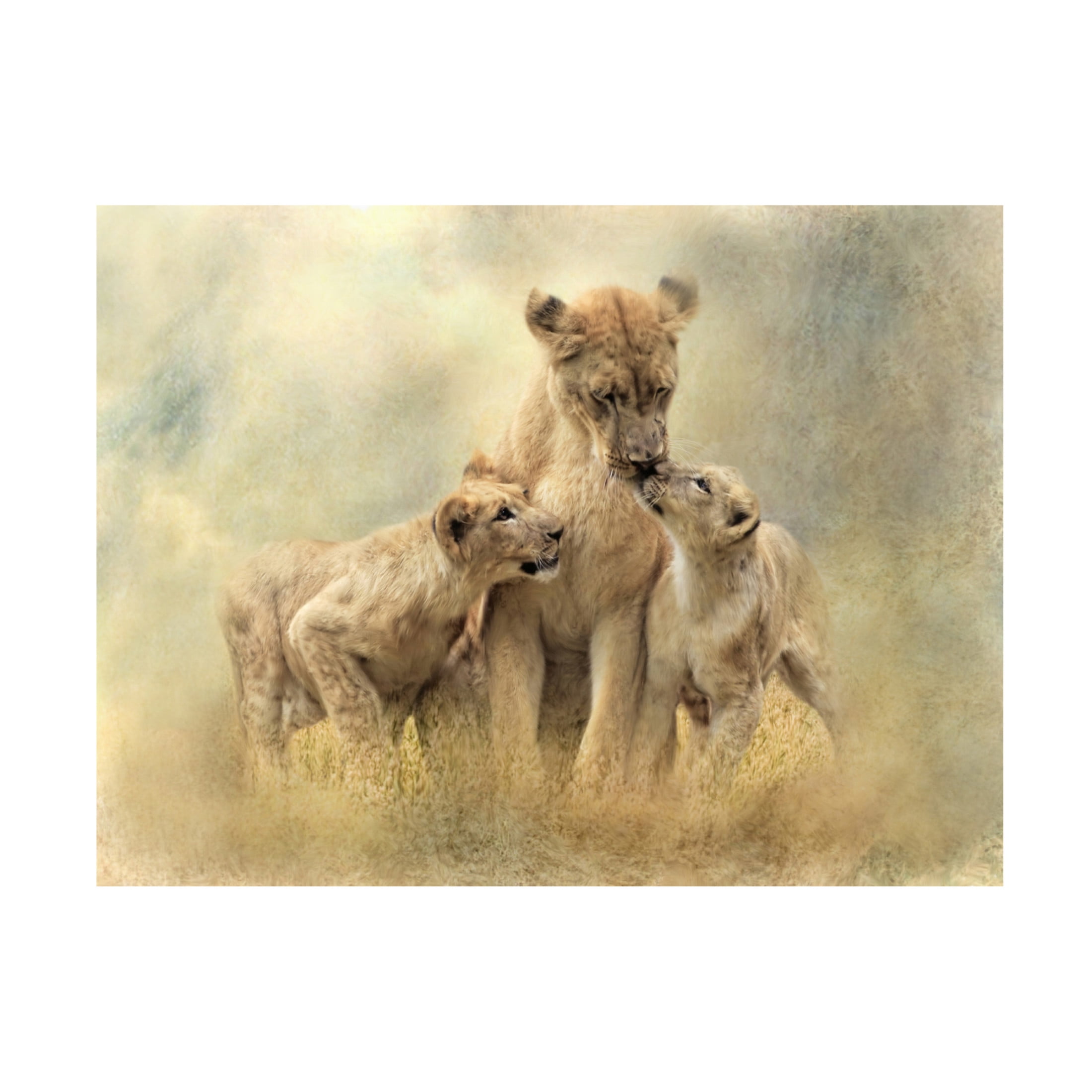 Canvas Wall Art - Trudi Simmonds 'Mamma' Wall Art for Living Room, Bedroom, or Office Décor by Trademark Fine Art - 32 x 24 Inches