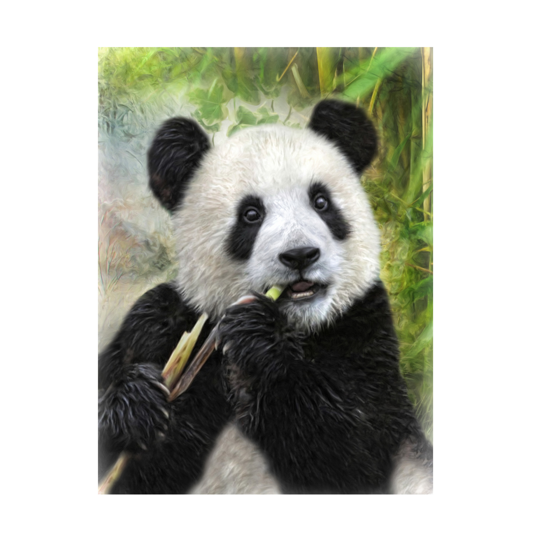 Canvas Wall Art - Trudi Simmonds 'Panda Baby' Wall Art for Living Room, Bedroom, or Office Décor by Trademark Fine Art - 35 x 47 Inches
