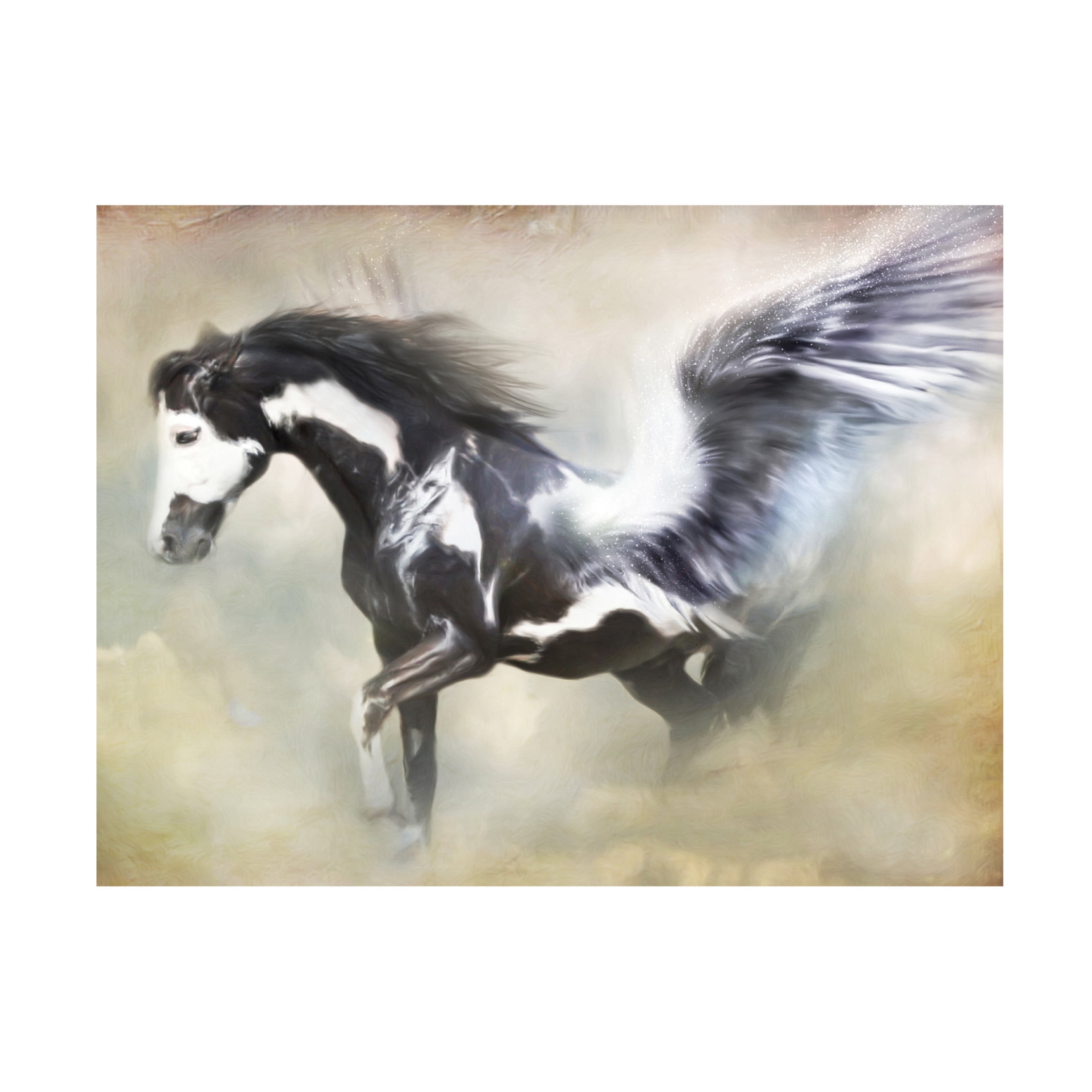 Canvas Wall Art - Trudi Simmonds 'Pinto Pegasus' Wall Art for Living Room, Bedroom, or Office Décor by Trademark Fine Art - 47 x 35 Inches