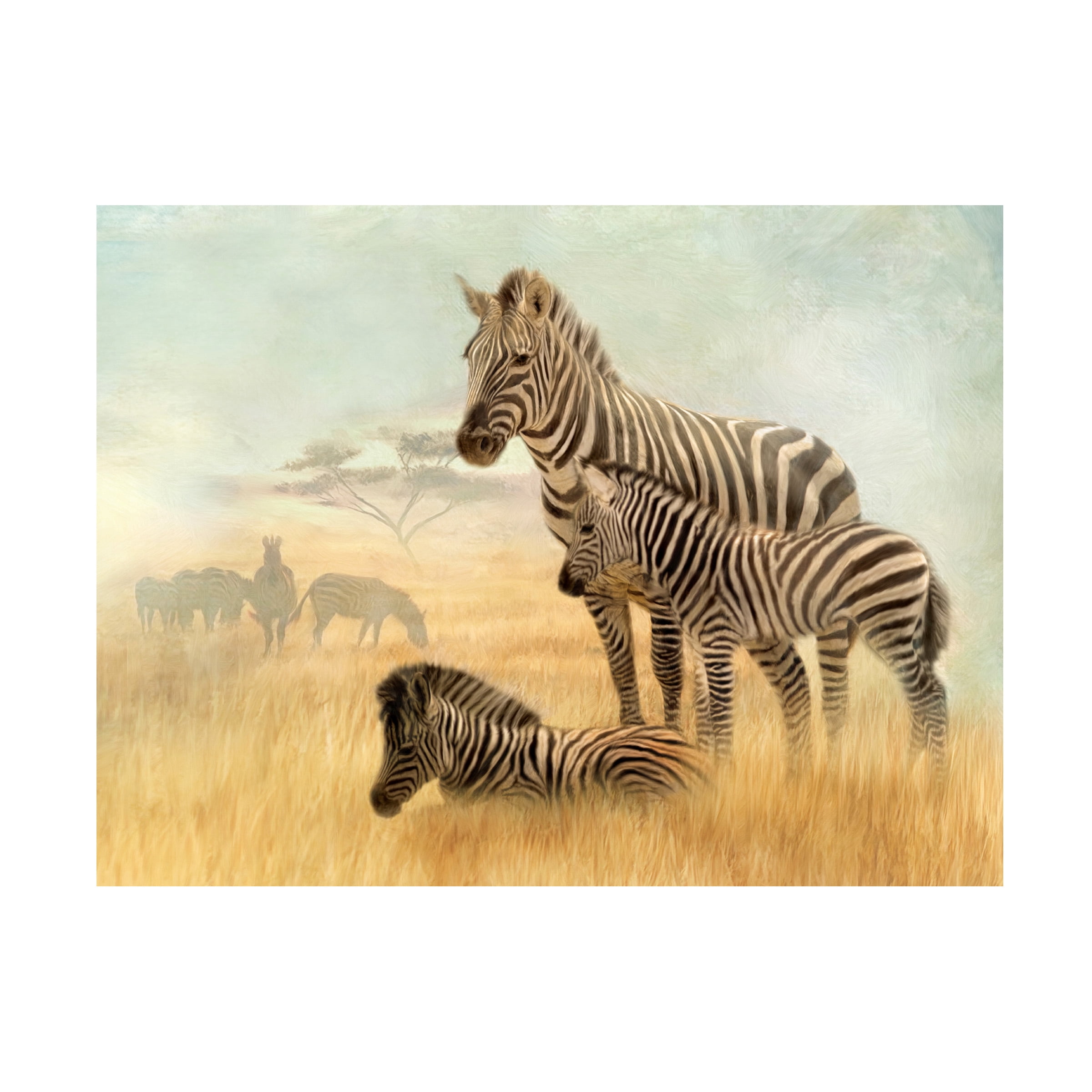 Canvas Wall Art - Trudi Simmonds 'Sisters of the Savannah' Wall Art for Living Room, Bedroom, or Office DÃ©cor by Trademark Fine Art - 47 x 35 Inches