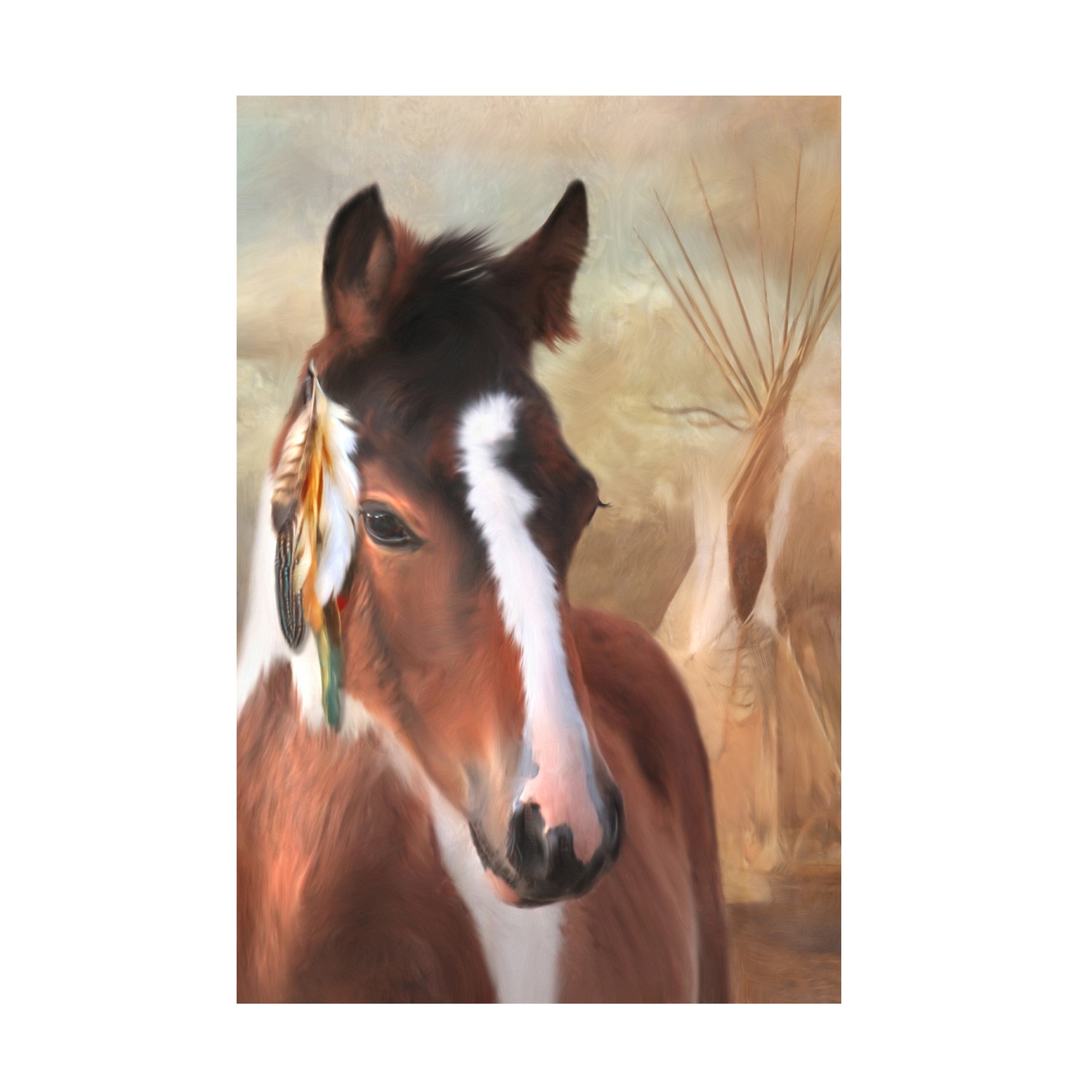 Canvas Wall Art - Trudi Simmonds 'Small Chief Little Feathers' Wall Art for Living Room, Bedroom, or Office Décor by Trademark Fine Art - 22 x 32 Inches