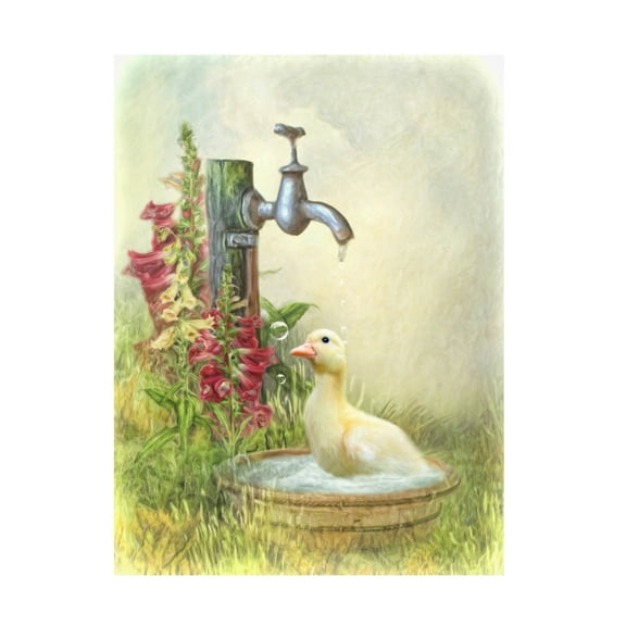 Canvas Wall Art - Trudi Simmonds 'Splish Splash' Wall Art for Living Room, Bedroom, or Office Décor by Trademark Fine Art - 14 x 19 Inches