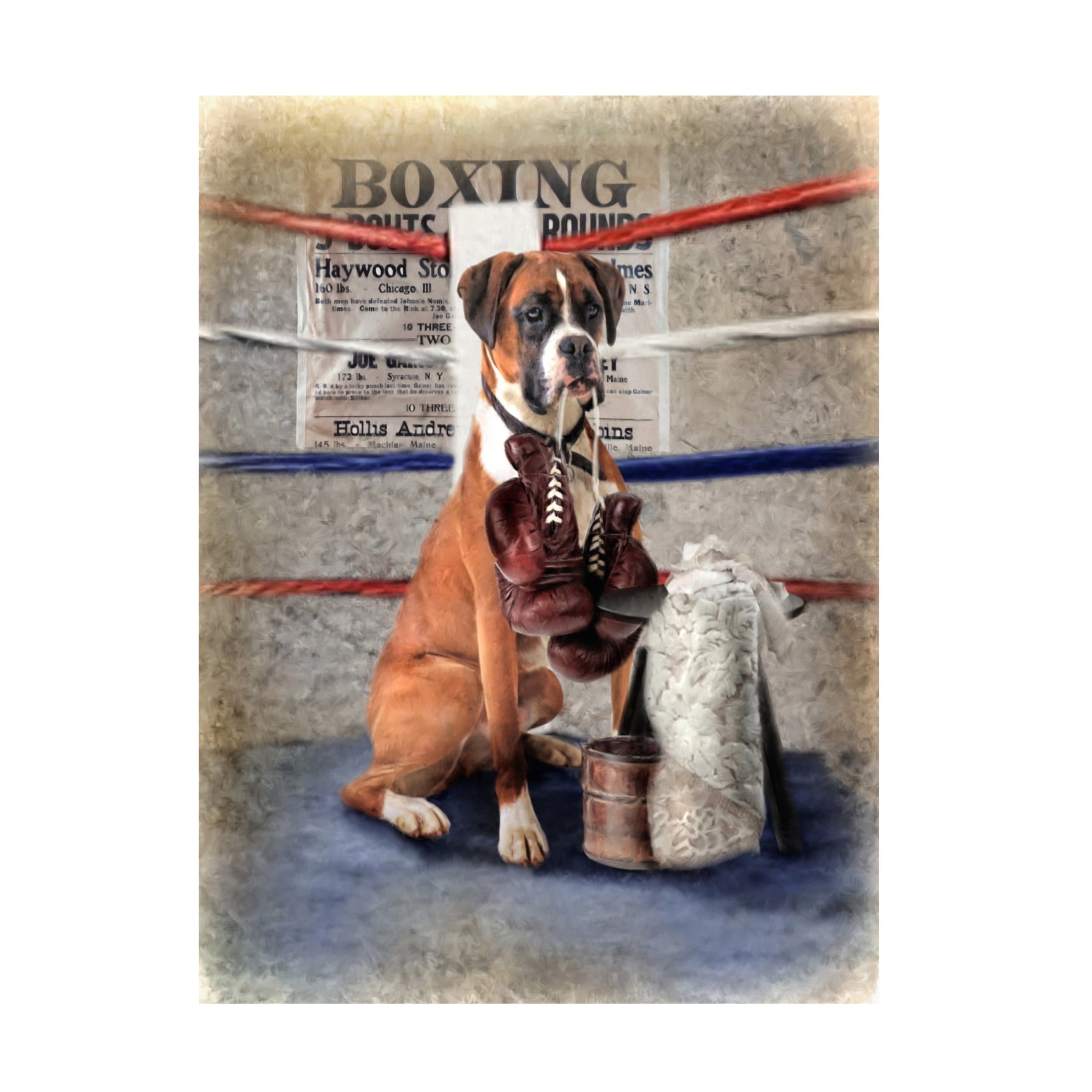 Canvas Wall Art - Trudi Simmonds 'The Boxer' Wall Art for Living Room, Bedroom, or Office Décor by Trademark Fine Art - 24 x 32 Inches