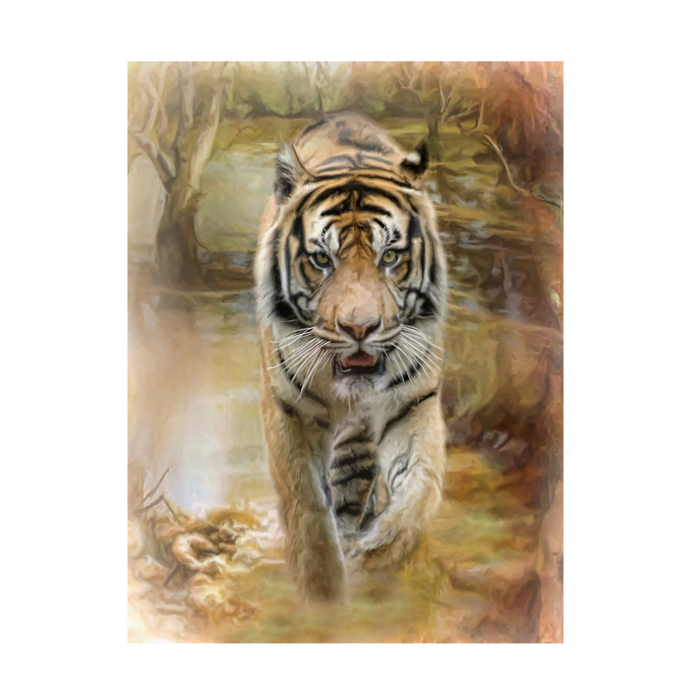 Canvas Wall Art - Trudi Simmonds 'Tiger' Wall Art for Living Room, Bedroom, or Office DÃ©cor by Trademark Fine Art - 24 x 32 Inches