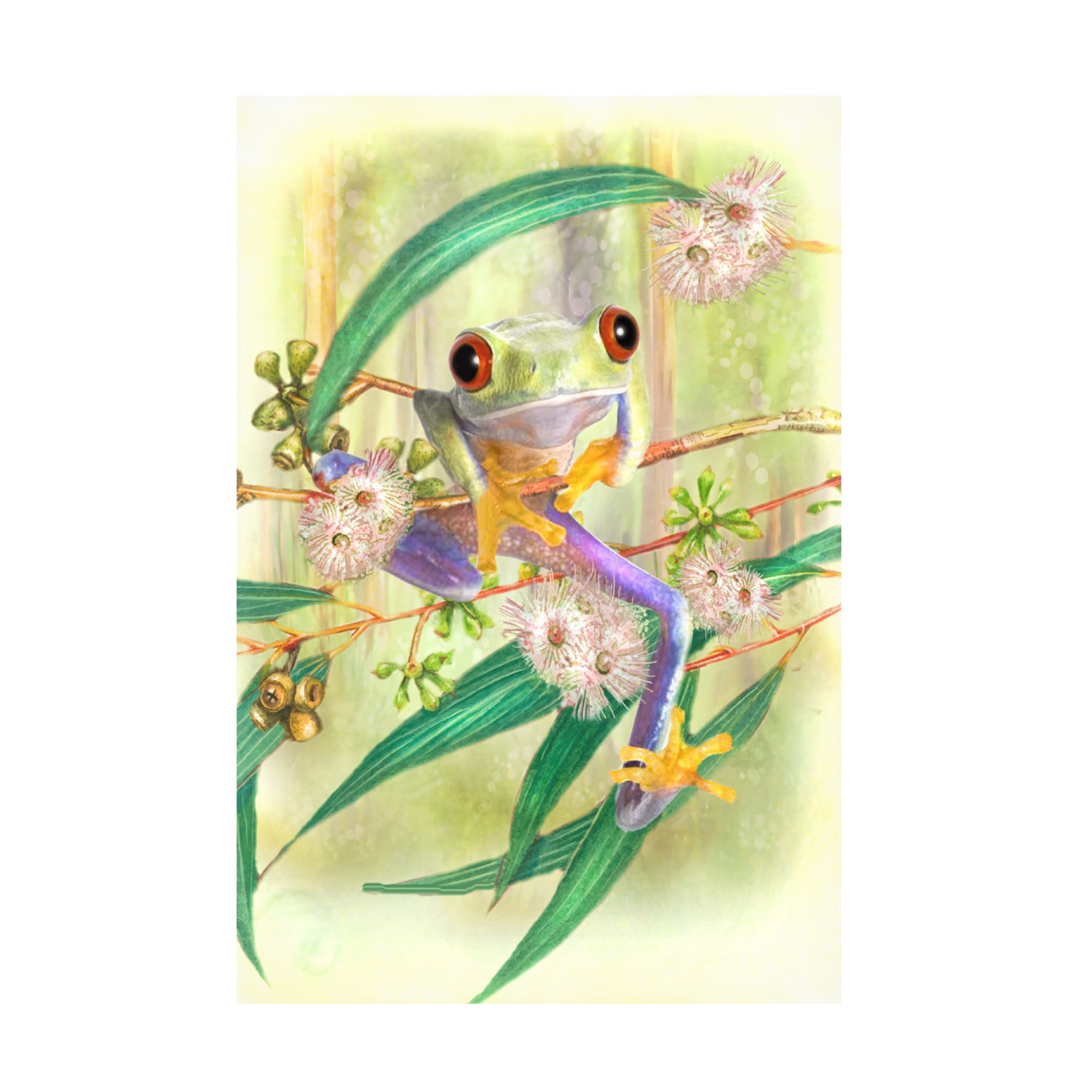 Canvas Wall Art - Trudi Simmonds 'Tree Frog' Wall Art for Living Room, Bedroom, or Office Décor by Trademark Fine Art - 12 x 19 Inches