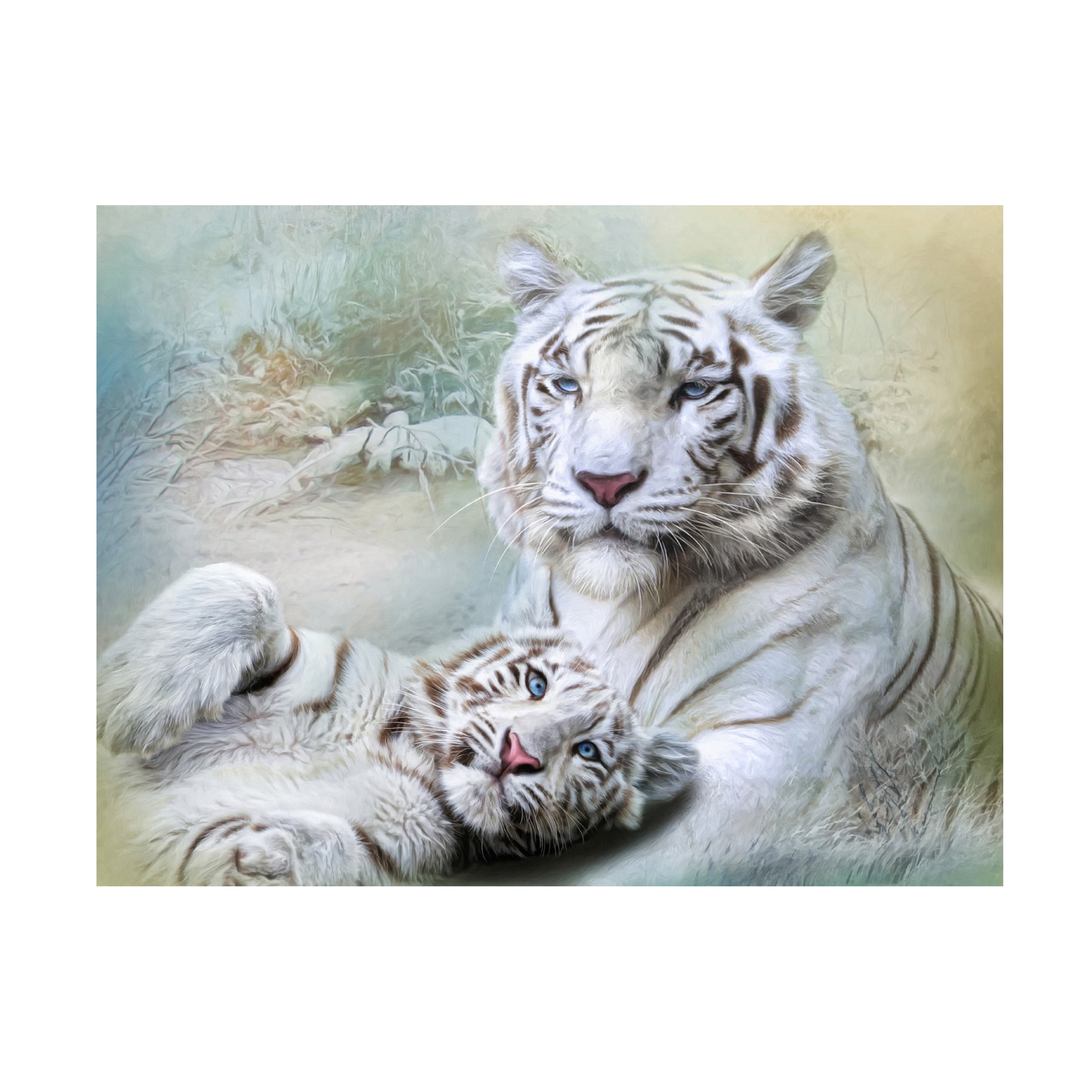 Canvas Wall Art - Trudi Simmonds 'White Tiger' Wall Art for Living Room, Bedroom, or Office DÃ©cor by Trademark Fine Art - 24 x 18 Inches
