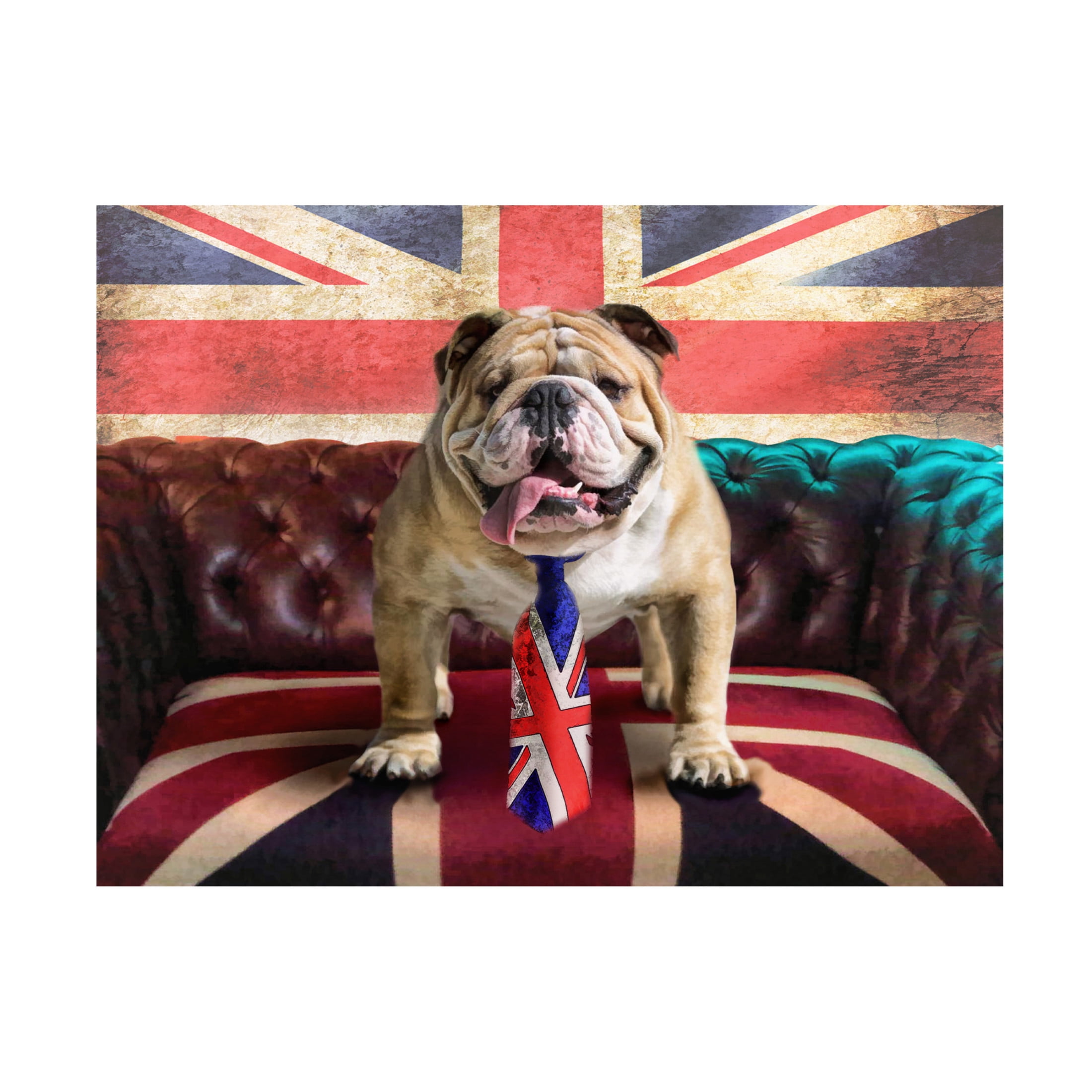 Canvas Wall Art - Trudi Simmonds 'Winston' Wall Art for Living Room, Bedroom, or Office Décor by Trademark Fine Art - 47 x 35 Inches