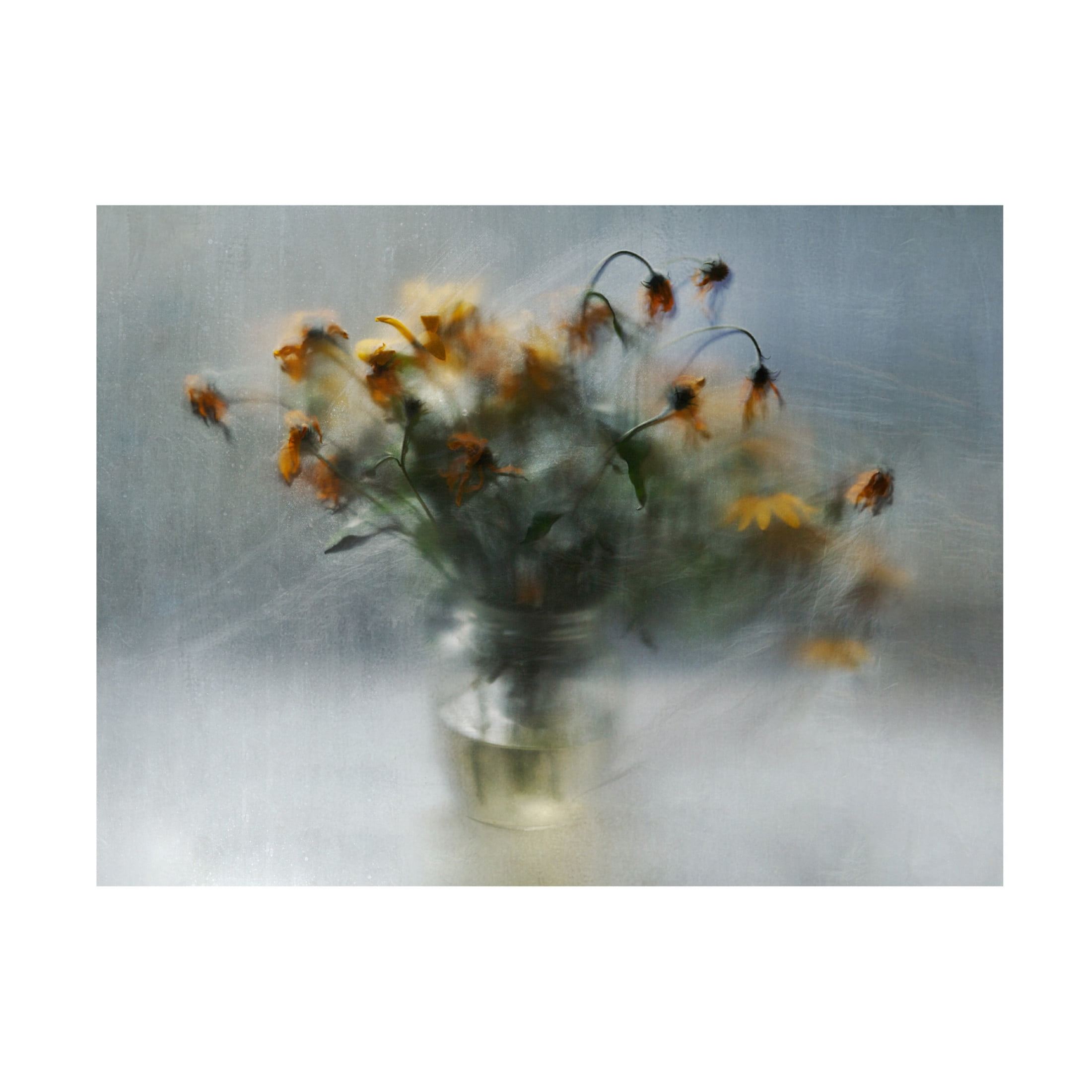 Canvas Wall Art - Ulrike Landau 'Fading Bouquet' Wall Art for Living Room, Bedroom, or Office Décor by Trademark Fine Art - 19 x 14 Inches