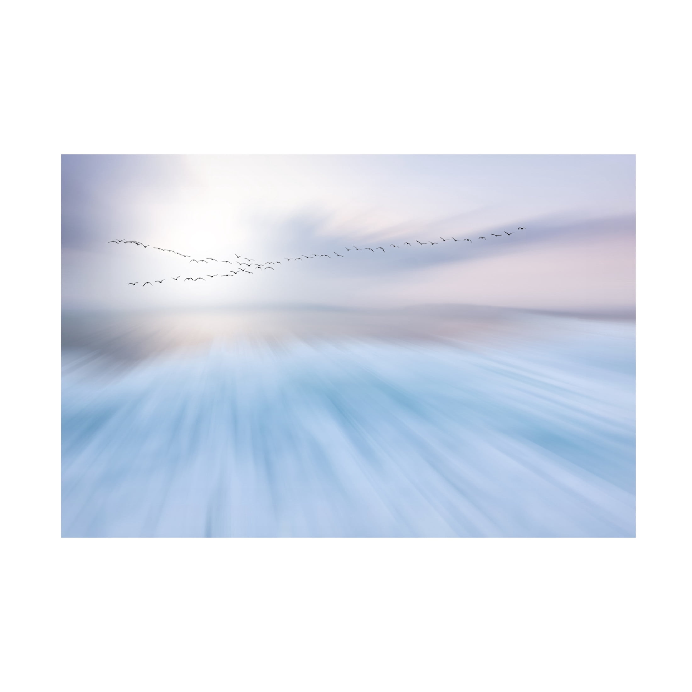 Canvas Wall Art - Uschi Hermann 'Fly Over' Wall Art for Living Room, Bedroom, or Office D?cor by Trademark Fine Art - 24 x 16 Inches