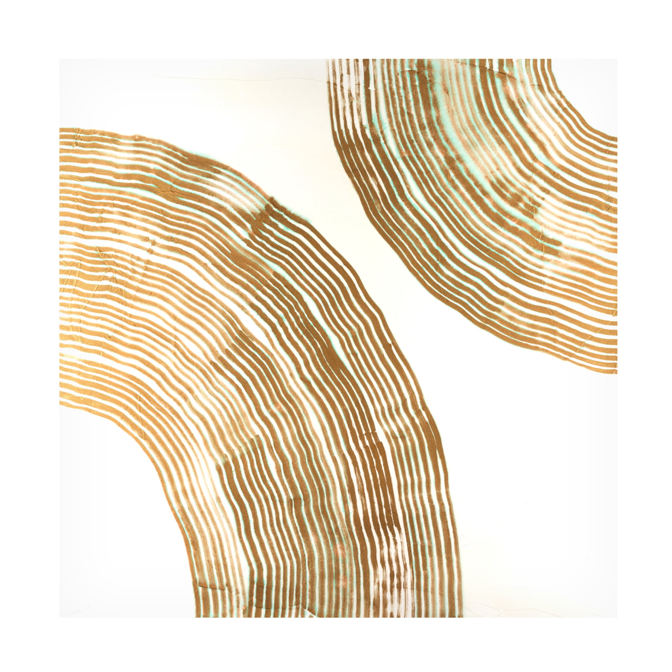 Canvas Wall Art - Vanna Lam 'Sisal II' Wall Art for Living Room, Bedroom, or Office Décor by Trademark Fine Art - 24 x 24 Inches
