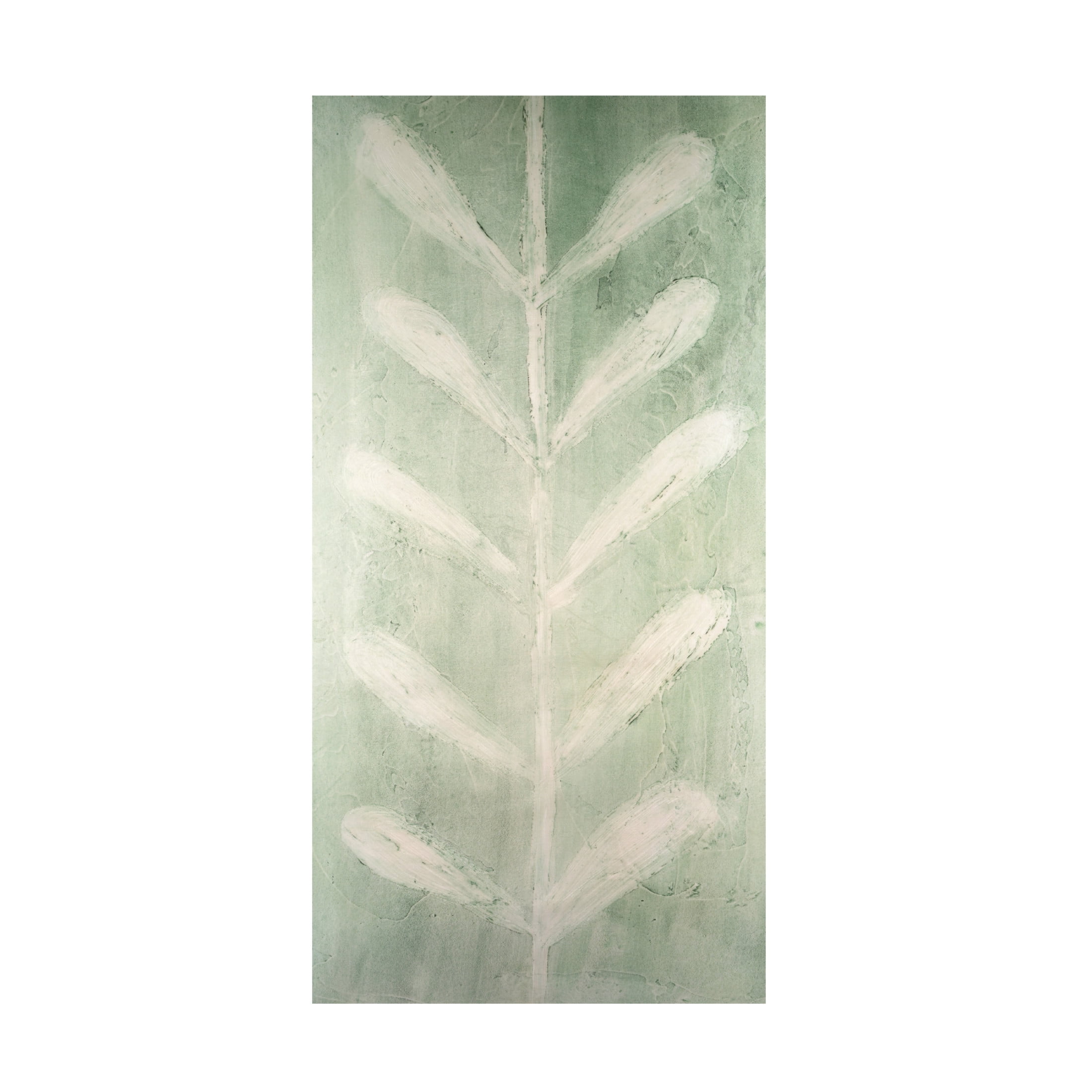 Canvas Wall Art - Vanna Lam 'Veriegatas II' Wall Art for Living Room, Bedroom, or Office Décor by Trademark Fine Art - 12 x 24 Inches