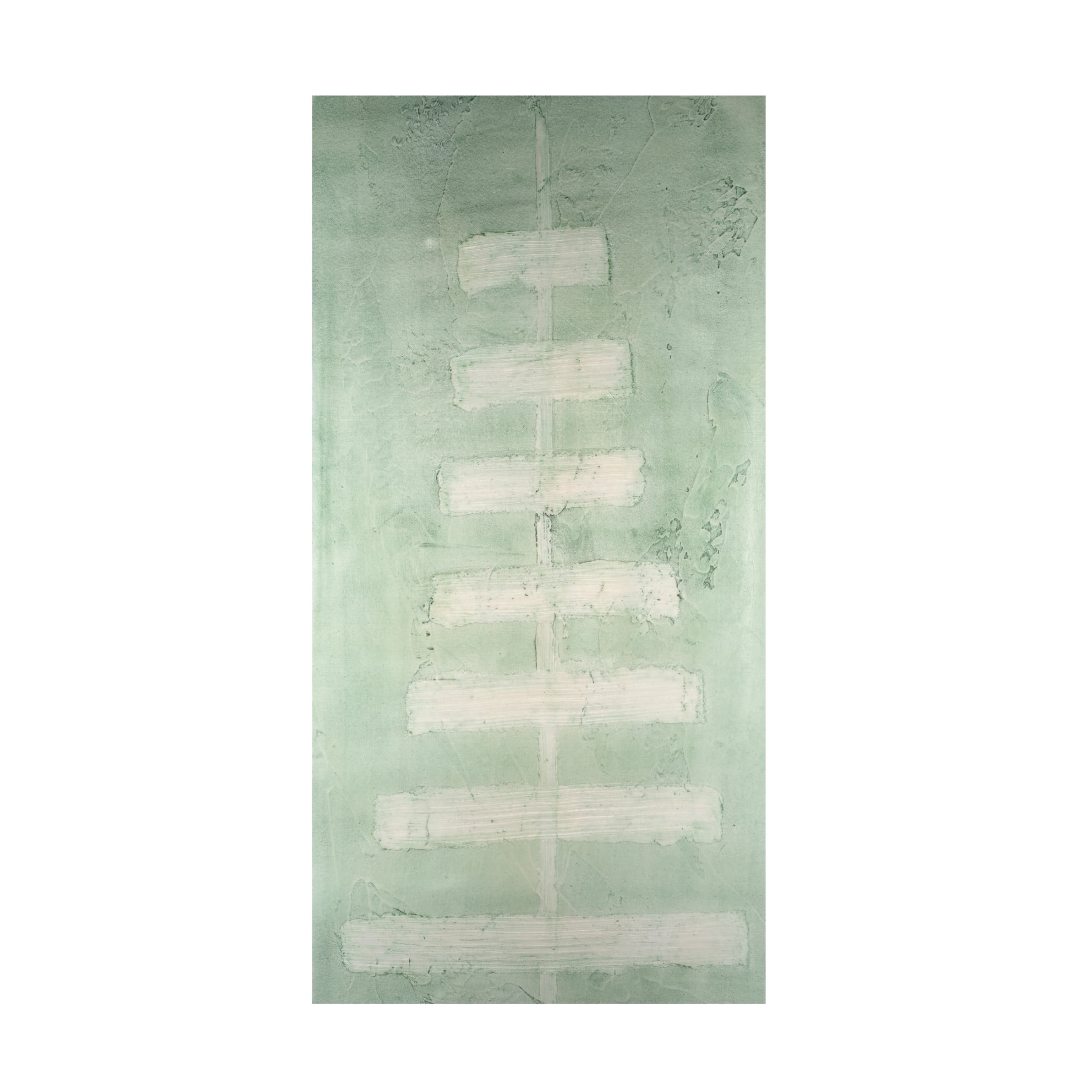 Canvas Wall Art - Vanna Lam 'Veriegatas III' Wall Art for Living Room, Bedroom, or Office Décor by Trademark Fine Art - 12 x 24 Inches