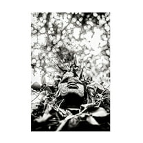 Canvas Wall Art - Vedran Vidak 'Suri Girl' Wall Art for Living Room, Bedroom, or Office D?cor by Trademark Fine Art - 12 x 19 Inches