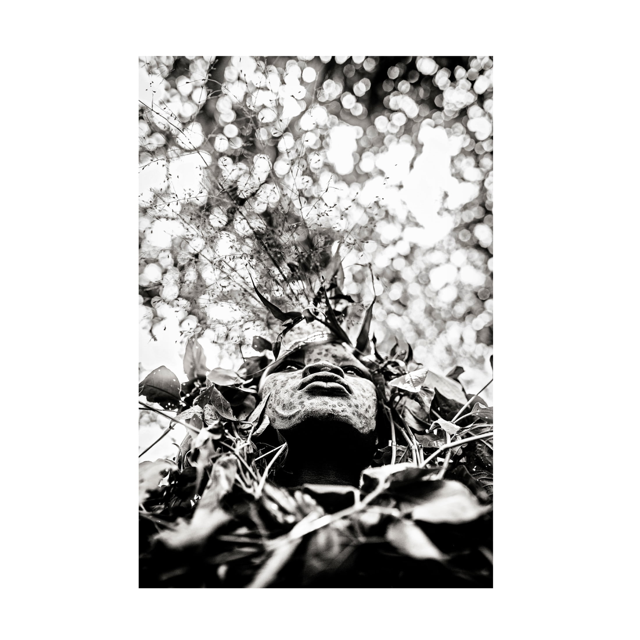 Canvas Wall Art - Vedran Vidak 'Suri Girl' Wall Art for Living Room, Bedroom, or Office D?cor by Trademark Fine Art - 22 x 32 Inches