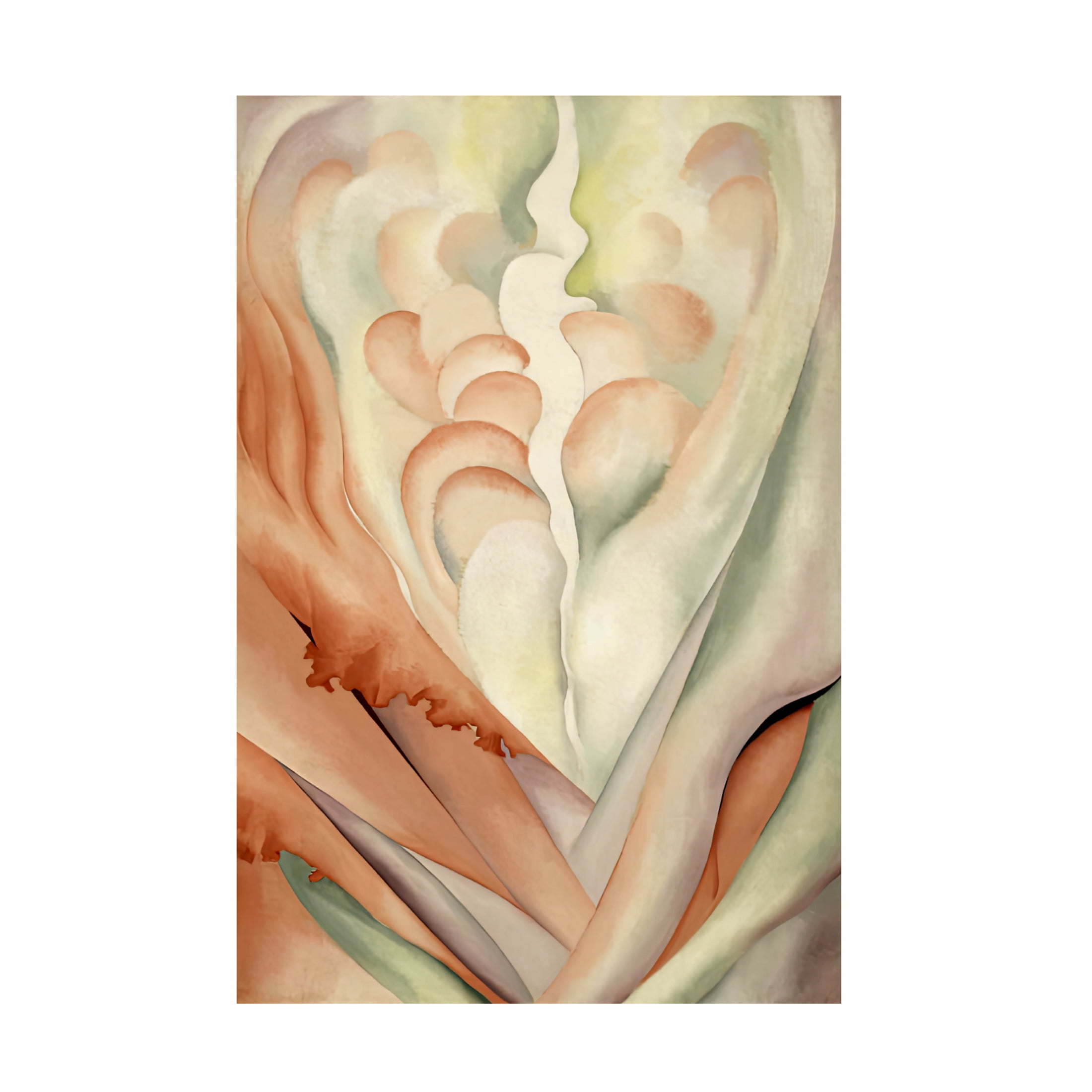 Canvas Wall Art - Vintage Apple Collection 'OKeefe Flower Abstraction' Wall Art for Living Room, Bedroom, or Office Décor by Trademark Fine Art - 30 x 47 Inches