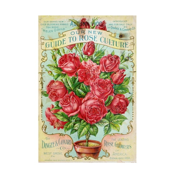 Canvas Wall Art - Vintage Apple Collection 'Rose Culture' Wall Art for Living Room, Bedroom, or Office Décor by Trademark Fine Art - 12 x 19 Inches