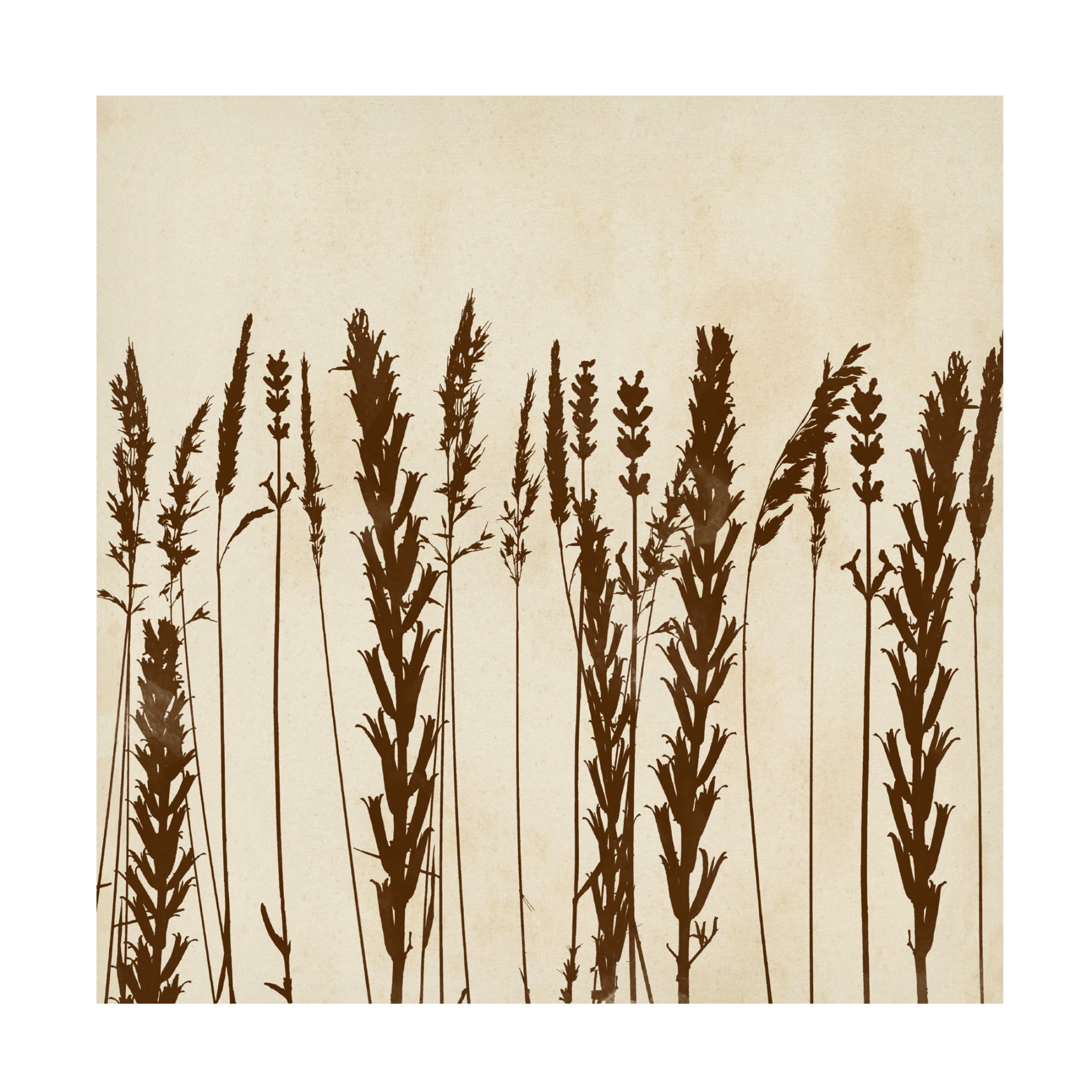 Canvas Wall Art - Vision Studio 'Garden Silhouette LIneup II' Wall Art for Living Room, Bedroom, or Office Décor by Trademark Fine Art - 35 x 35 Inches