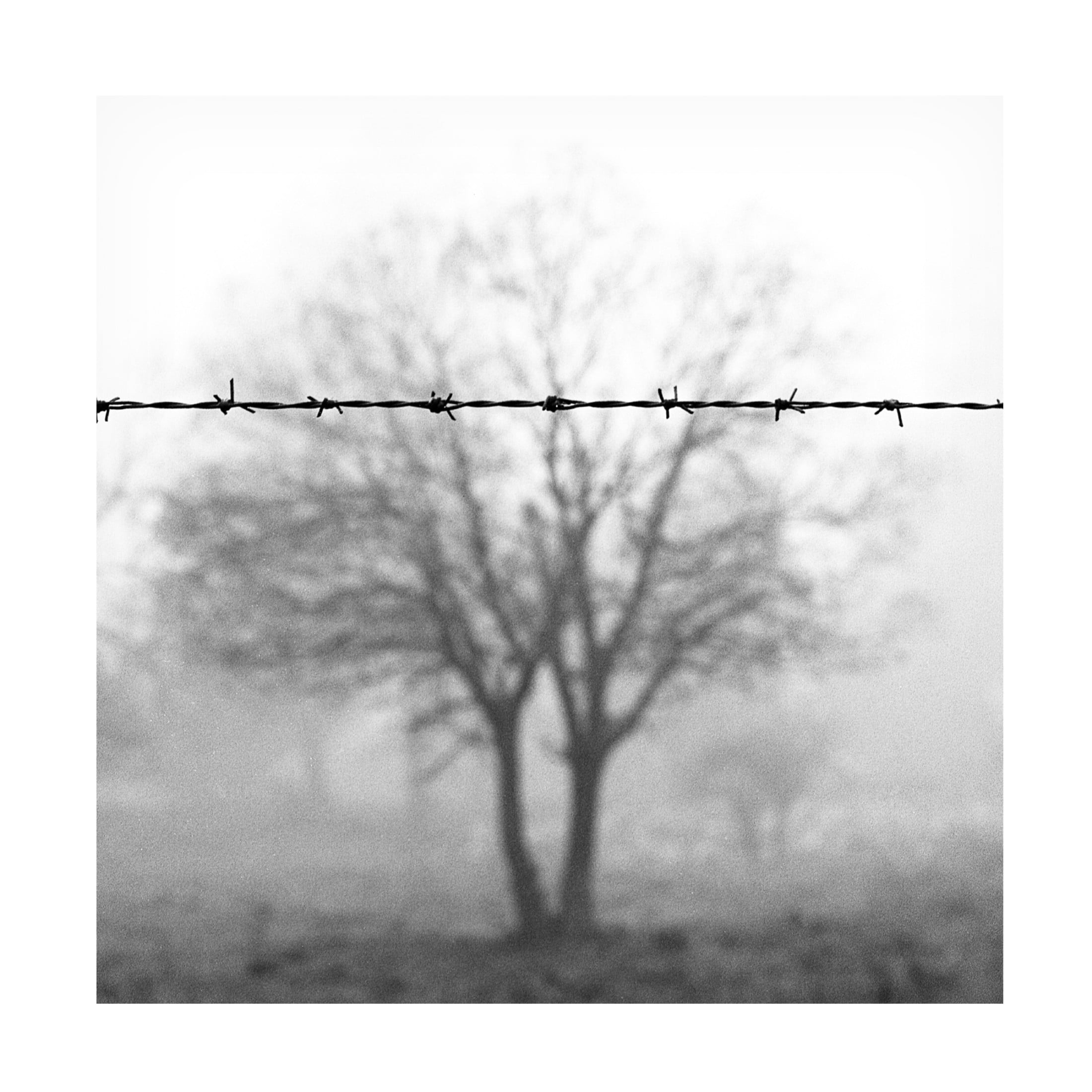 Canvas Wall Art - Wagdi Kala 'Goodbye Cruel World' Wall Art for Living Room, Bedroom, or Office D?cor by Trademark Fine Art - 18 x 18 Inches