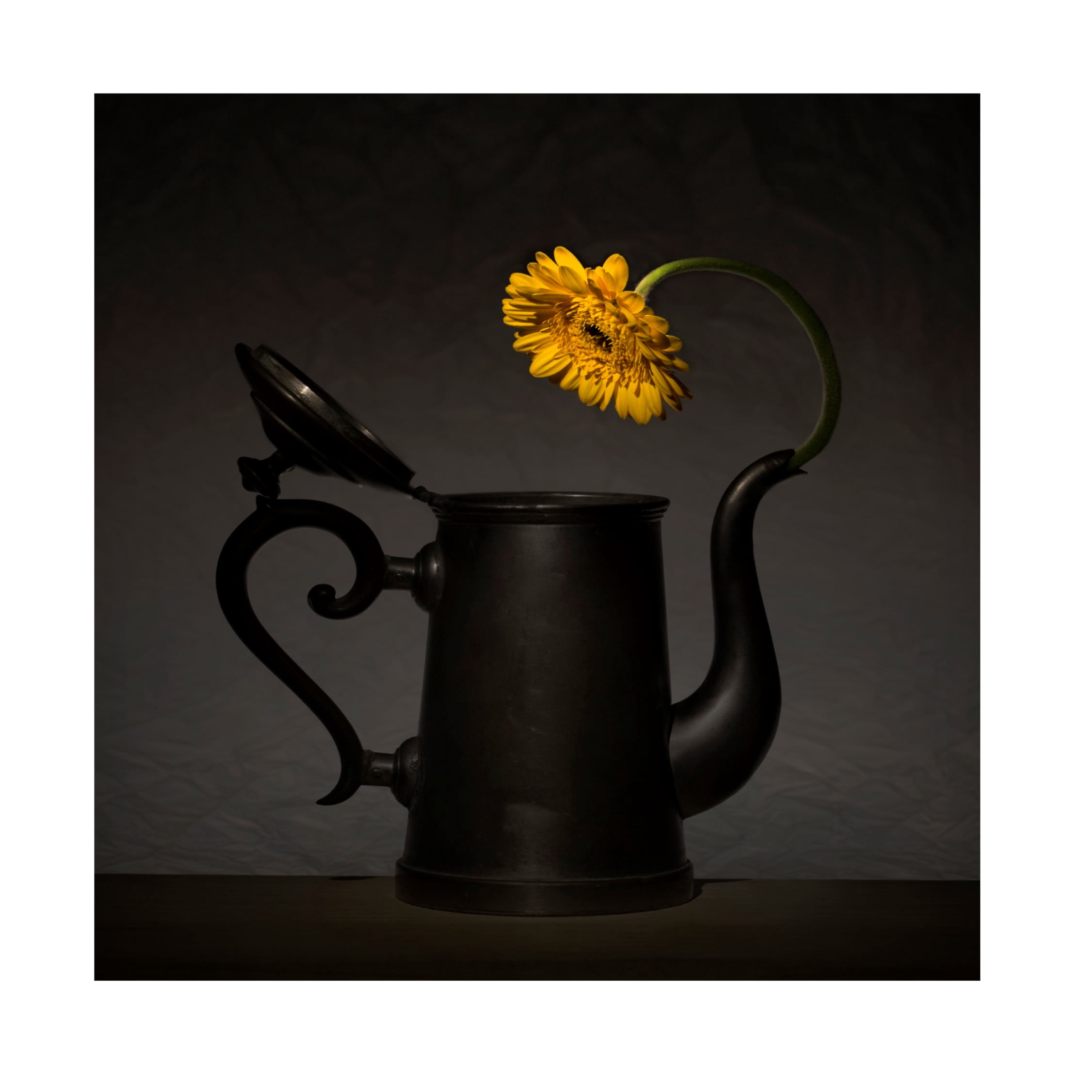 Canvas Wall Art - Wieteke De Kogel 'Is It Me In There' Wall Art for Living Room, Bedroom, or Office D?cor by Trademark Fine Art - 24 x 24 Inches