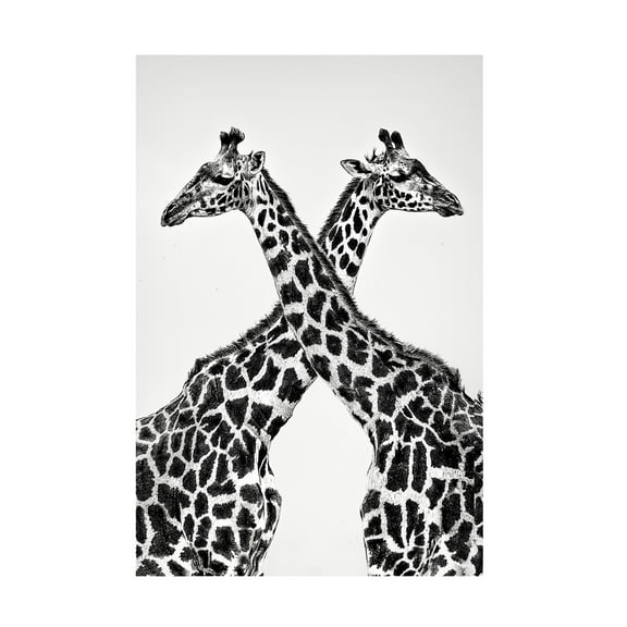 Canvas Wall Art - Xavier Ortega 'Two Towers' Wall Art for Living Room, Bedroom, or Office Décor by Trademark Fine Art - 12 x 19 Inches