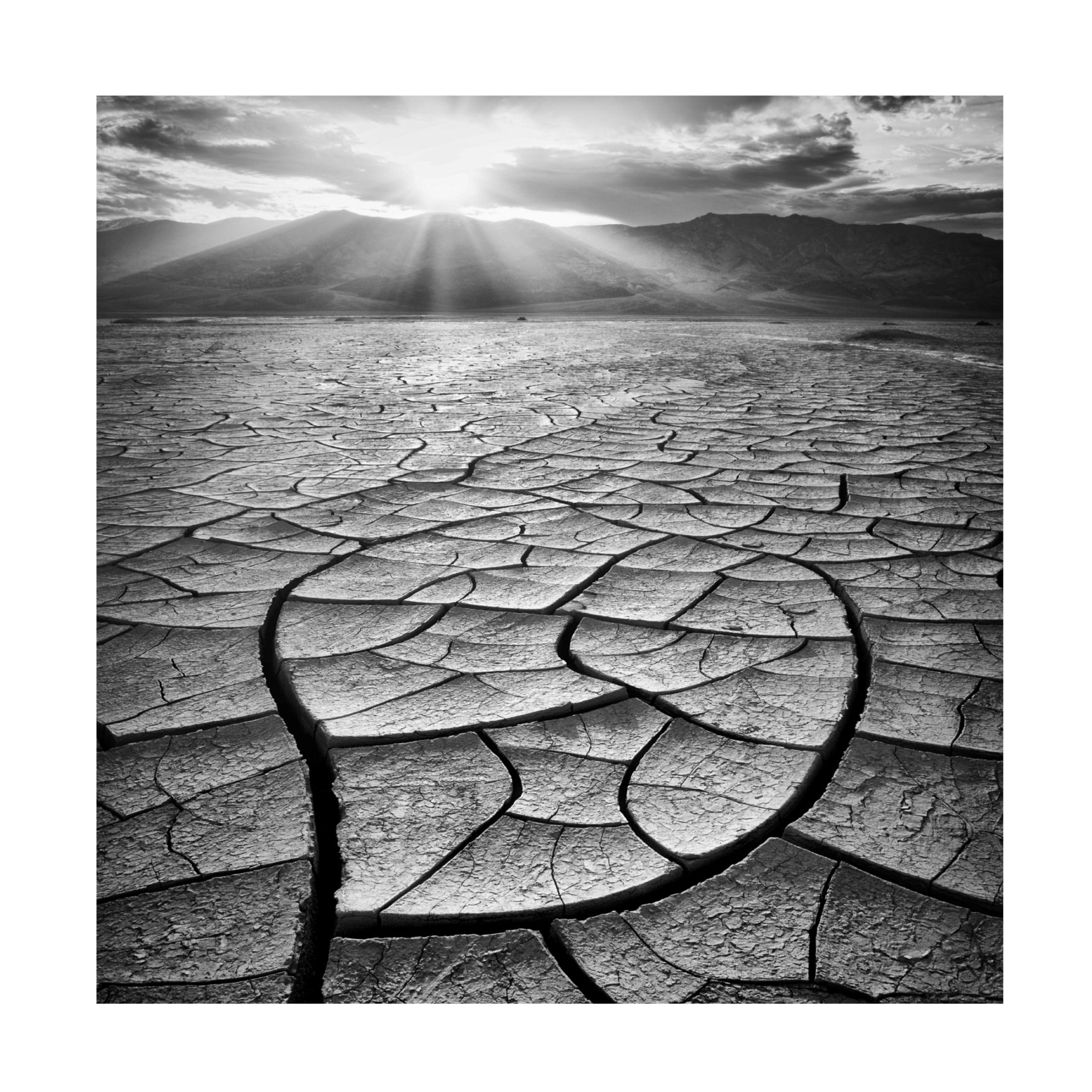 Canvas Wall Art - Yi Fan 'Arid' Wall Art for Living Room, Bedroom, or Office D?cor by Trademark Fine Art - 35 x 35 Inches