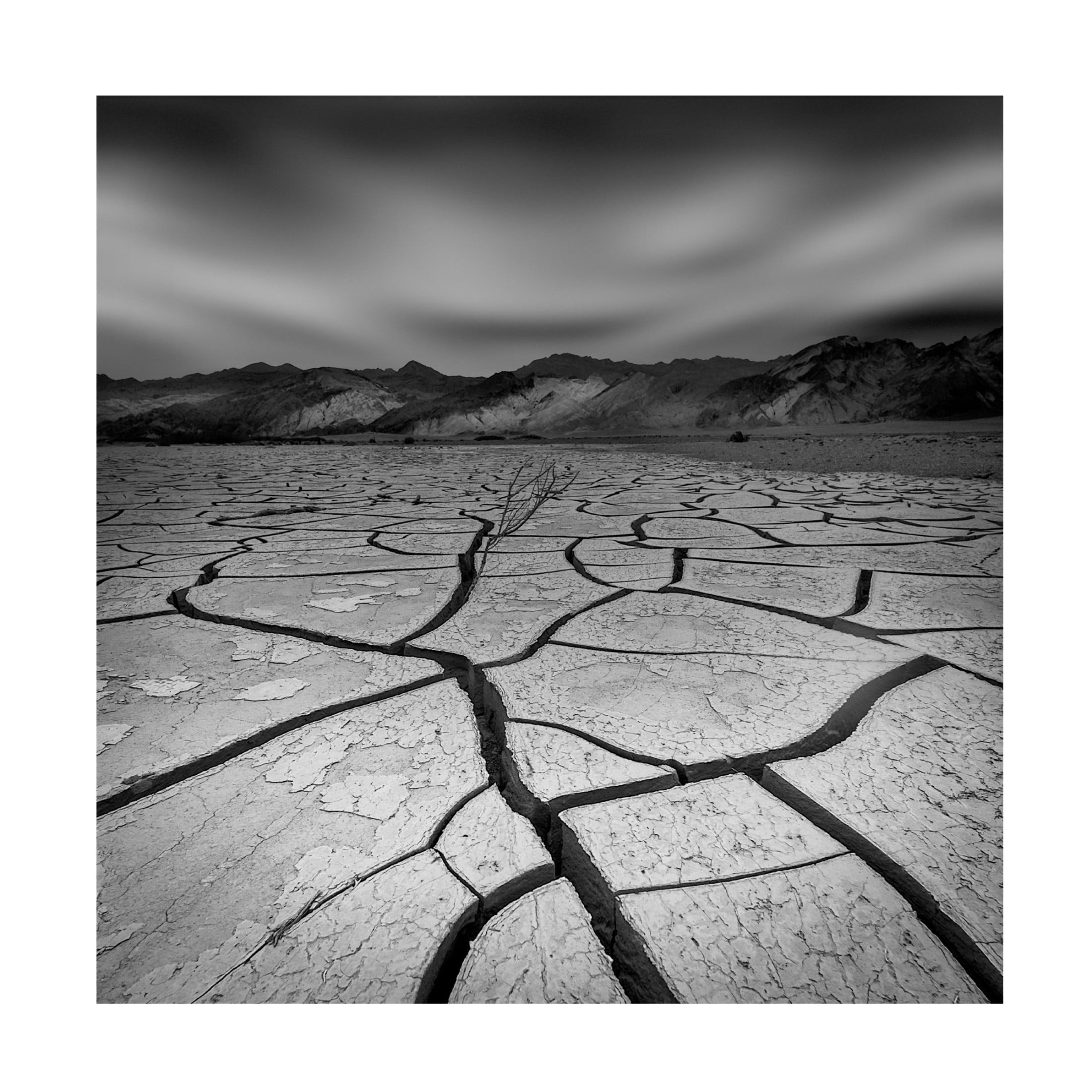 Canvas Wall Art - Yi Fan 'Desperate' Wall Art for Living Room, Bedroom, or Office Décor by Trademark Fine Art - 35 x 35 Inches