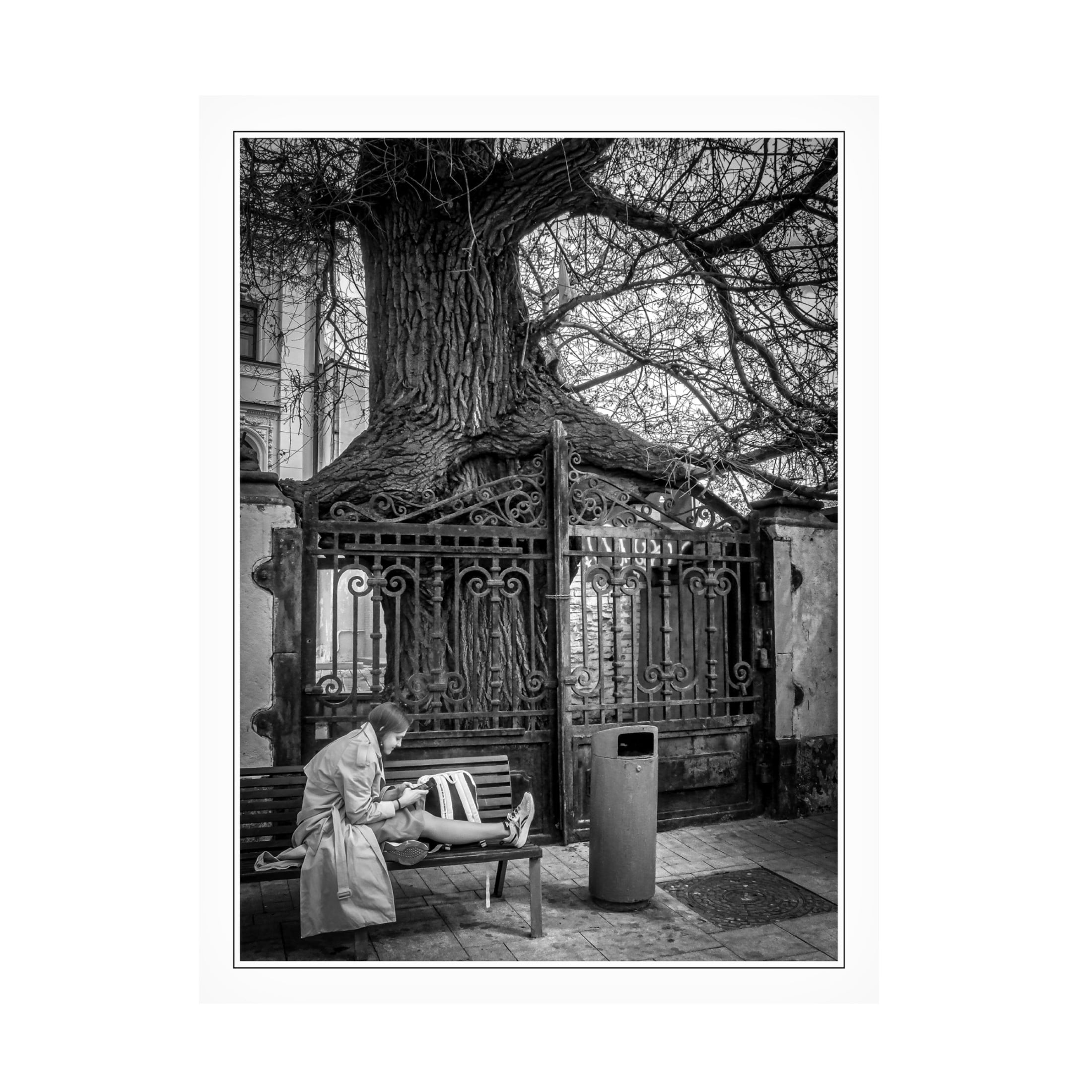 Canvas Wall Art - Yury A Melnikov 'City Woman Tree Urn Loneliness' Wall Art for Living Room, Bedroom, or Office Décor by Trademark Fine Art - 24 x 32 Inches