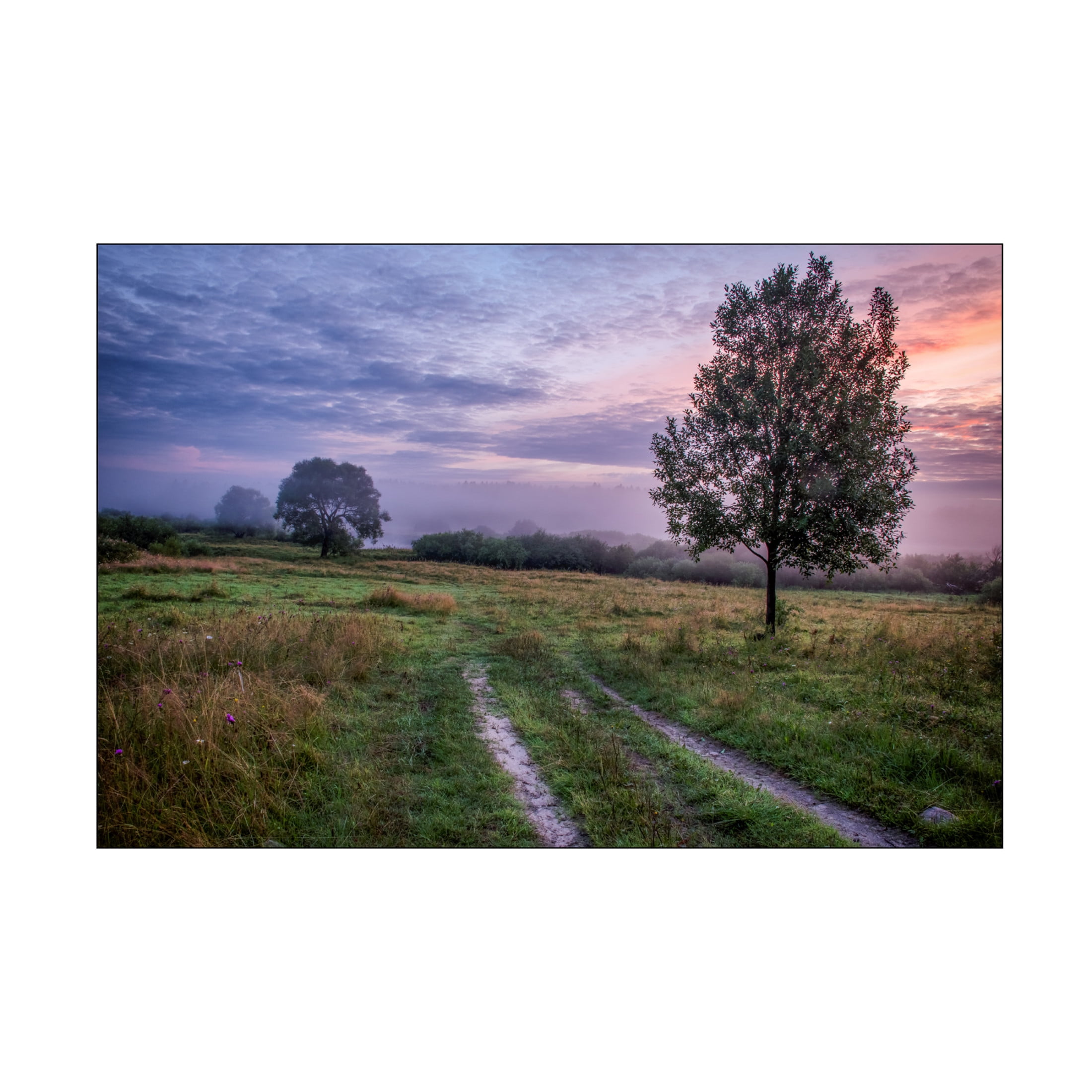 Canvas Wall Art - Yury A Melnikov 'Northern Mowing At Dawn 2' Wall Art for Living Room, Bedroom, or Office Décor by Trademark Fine Art - 47 x 30 Inches