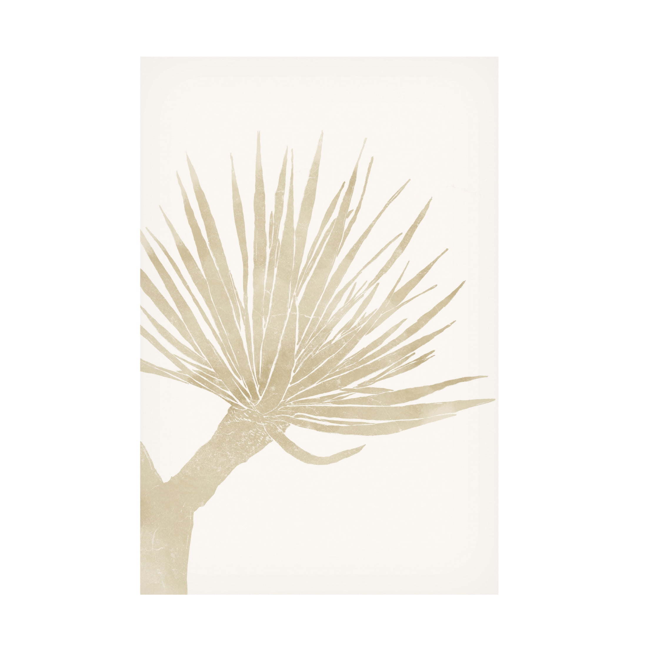 Canvas Wall Art - Yuyu Pont 'Neutral Tropico 2' Wall Art for Living Room, Bedroom, or Office Décor by Trademark Fine Art - 30 x 47 Inches