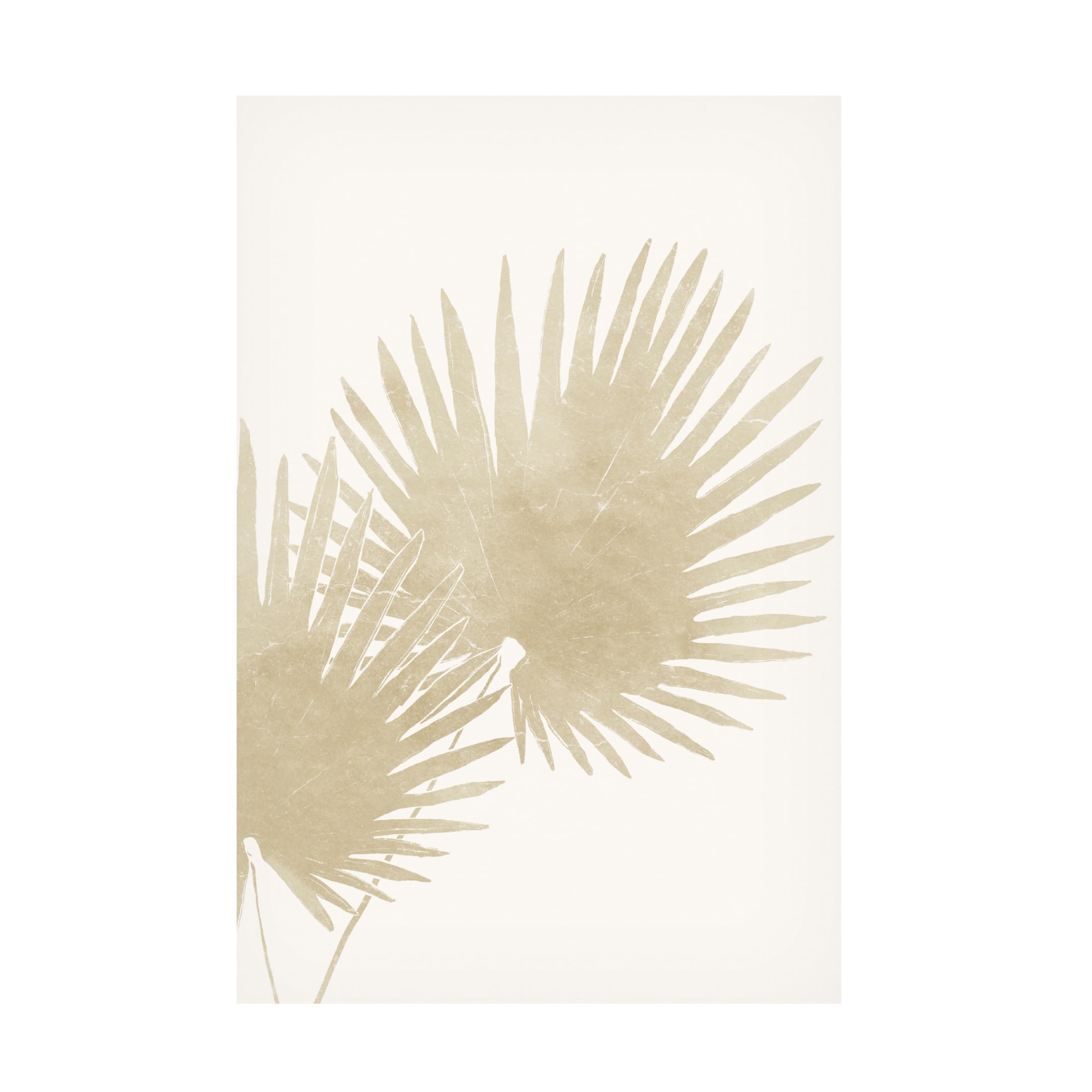 Canvas Wall Art - Yuyu Pont 'Neutral Tropico 3' Wall Art for Living Room, Bedroom, or Office Décor by Trademark Fine Art - 12 x 19 Inches
