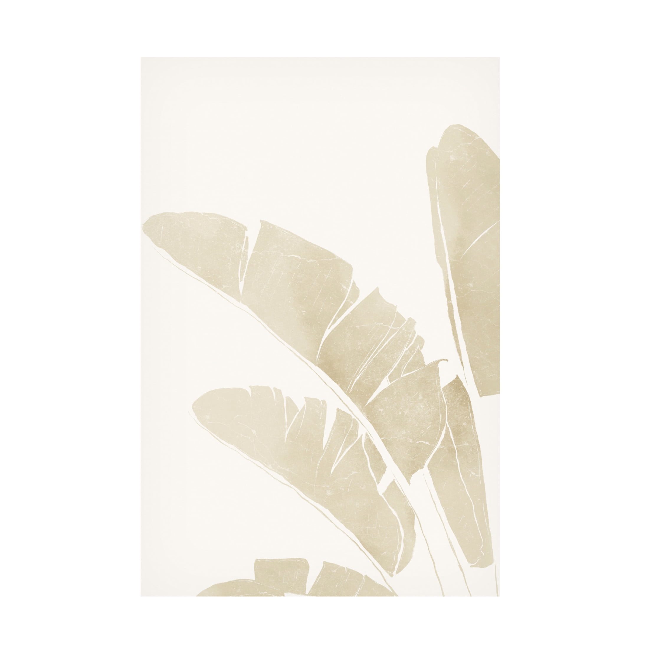 Canvas Wall Art - Yuyu Pont 'Neutral Tropico 4' Wall Art for Living Room, Bedroom, or Office Décor by Trademark Fine Art - 12 x 19 Inches
