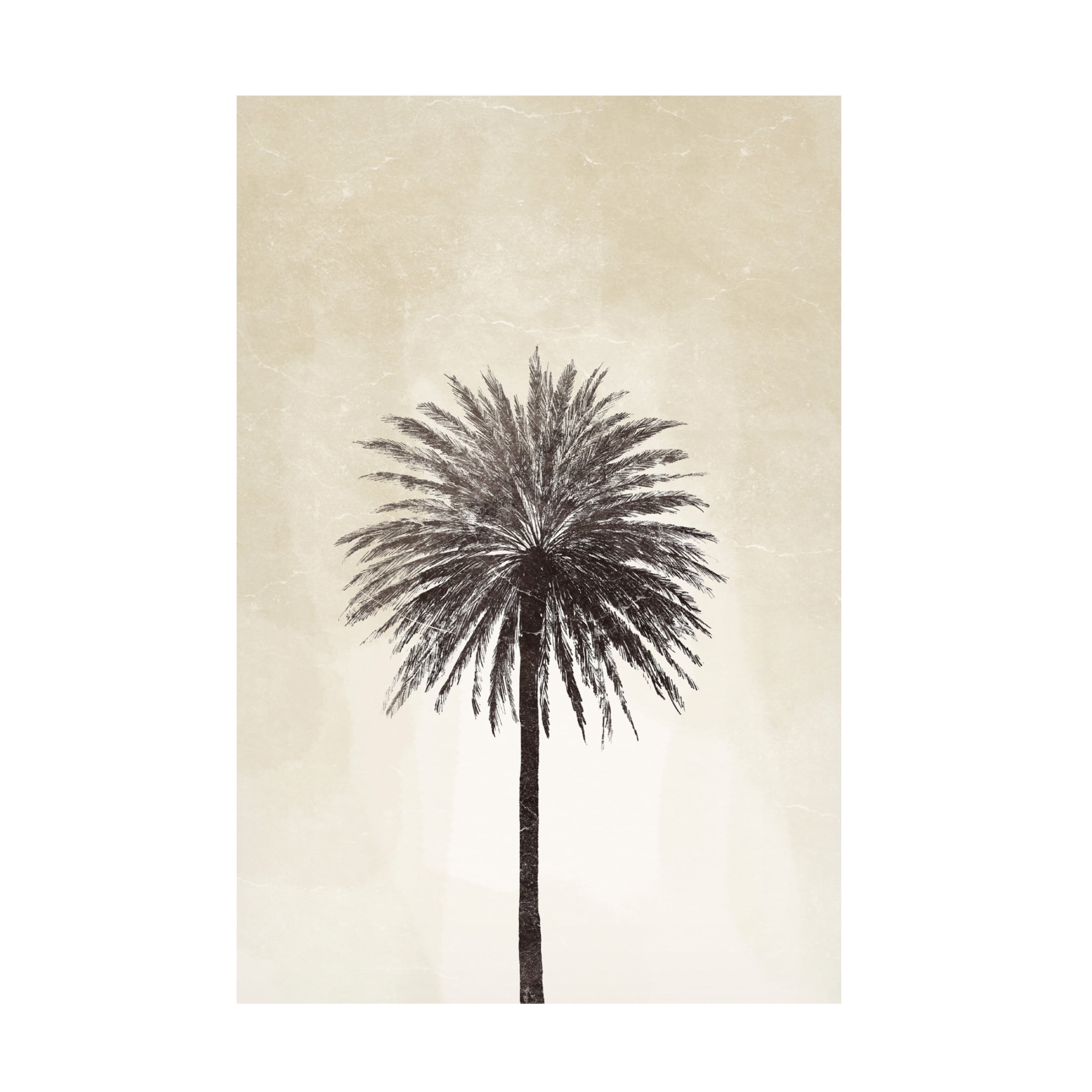 Canvas Wall Art - Yuyu Pont 'Palmera I' Wall Art for Living Room, Bedroom, or Office Décor by Trademark Fine Art - 30 x 47 Inches