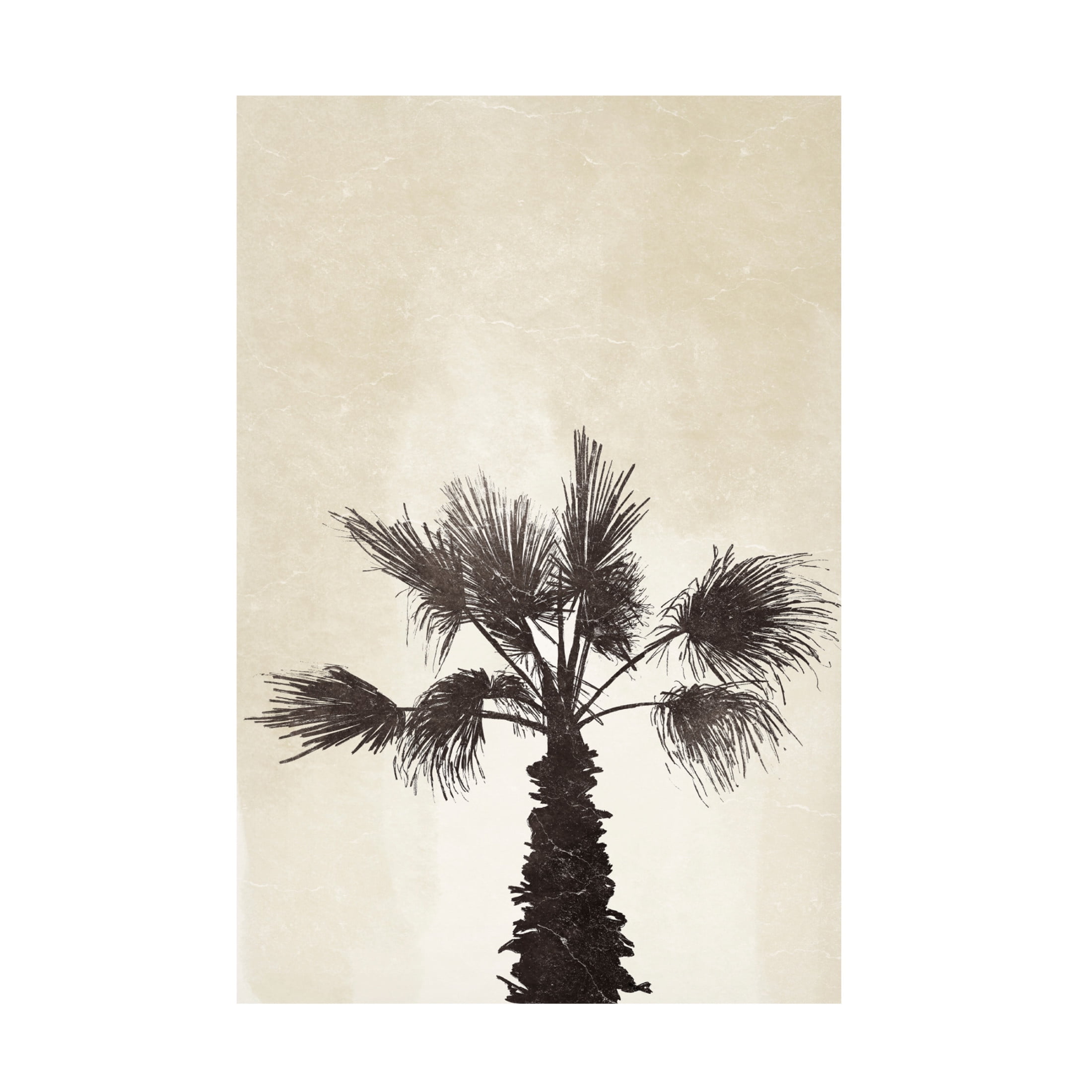 Canvas Wall Art - Yuyu Pont 'Palmera II' Wall Art for Living Room, Bedroom, or Office Décor by Trademark Fine Art - 30 x 47 Inches