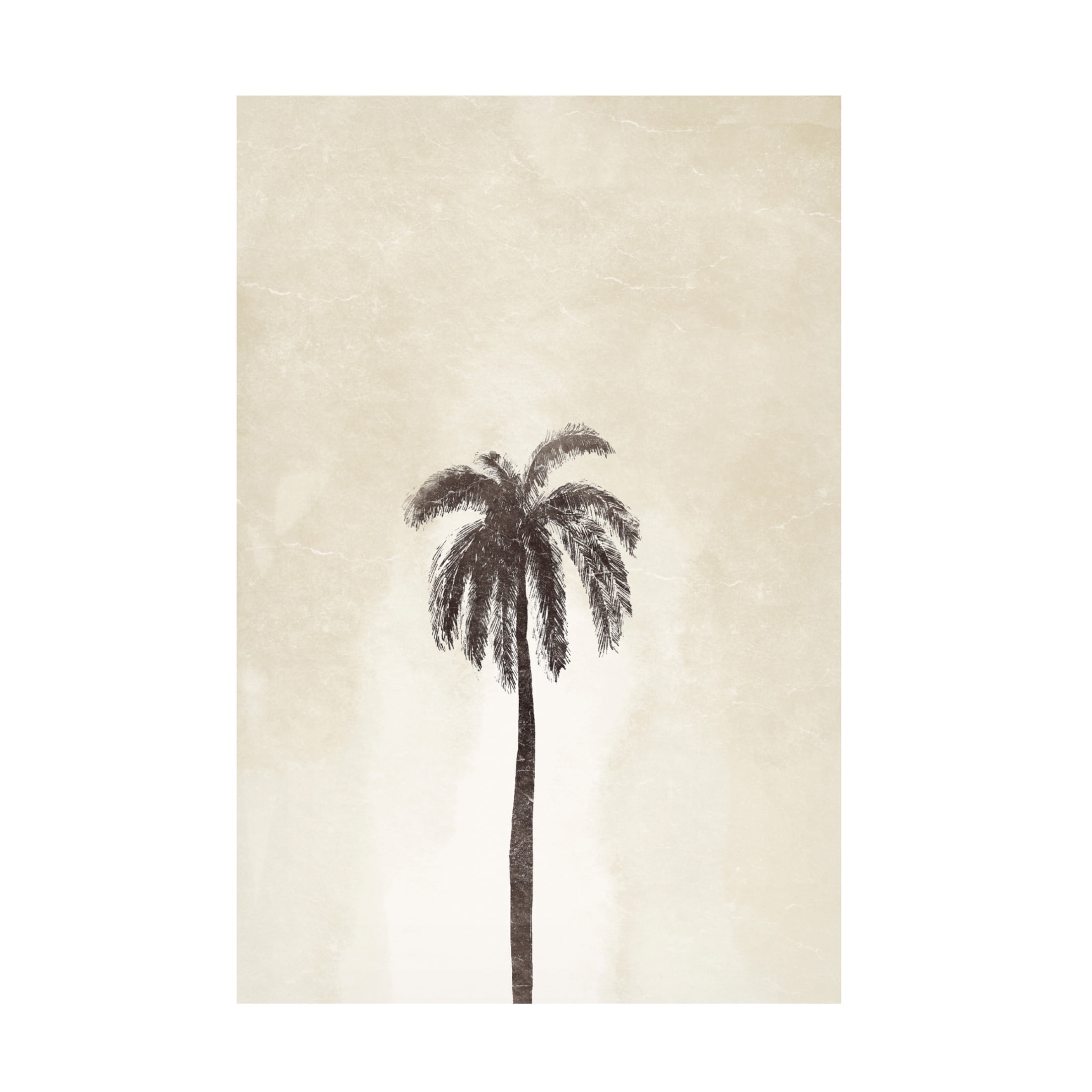Canvas Wall Art - Yuyu Pont 'Palmera III' Wall Art for Living Room, Bedroom, or Office Décor by Trademark Fine Art - 12 x 19 Inches