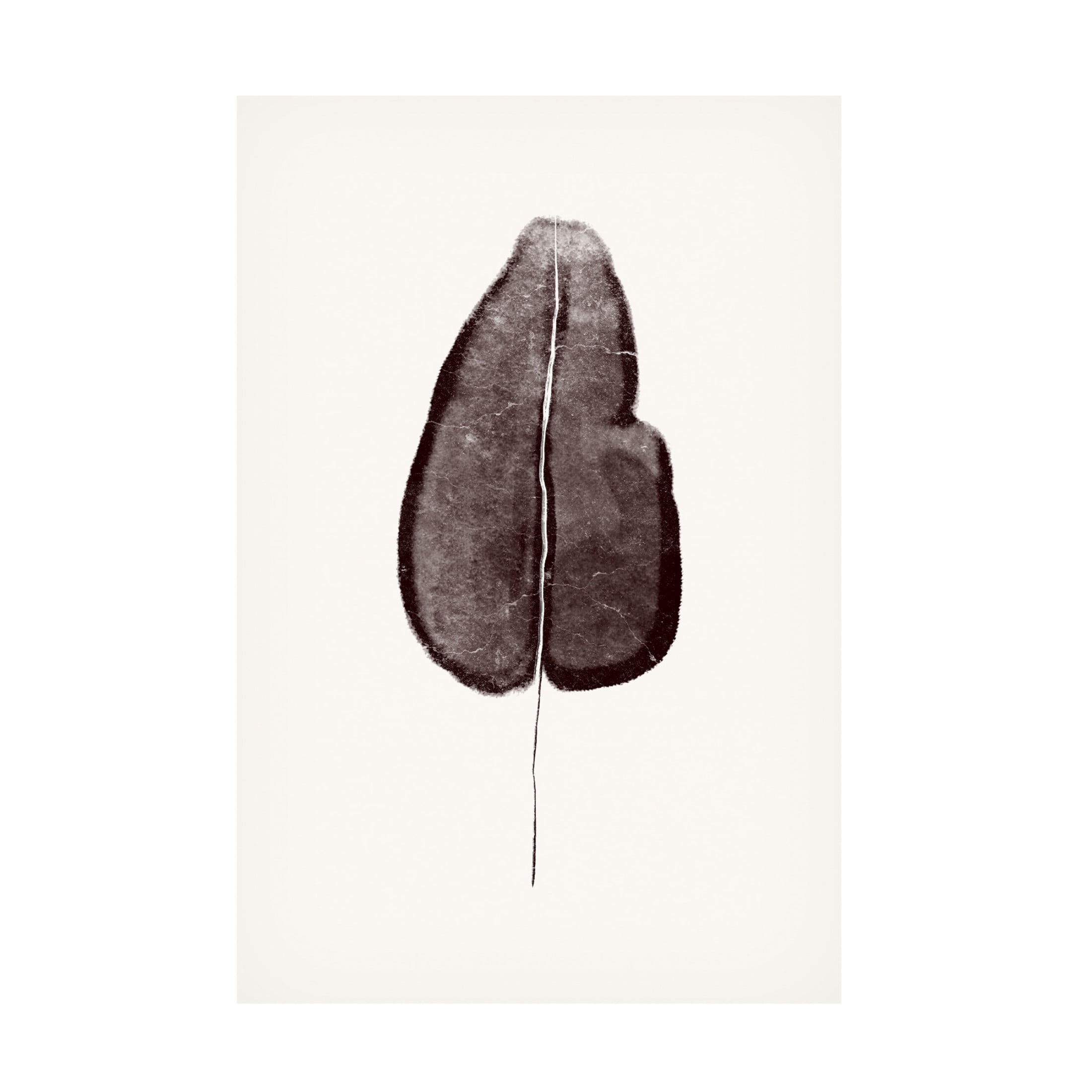 Canvas Wall Art - Yuyu Pont 'Tropical Leaf II' Wall Art for Living Room, Bedroom, or Office Décor by Trademark Fine Art - 22 x 32 Inches