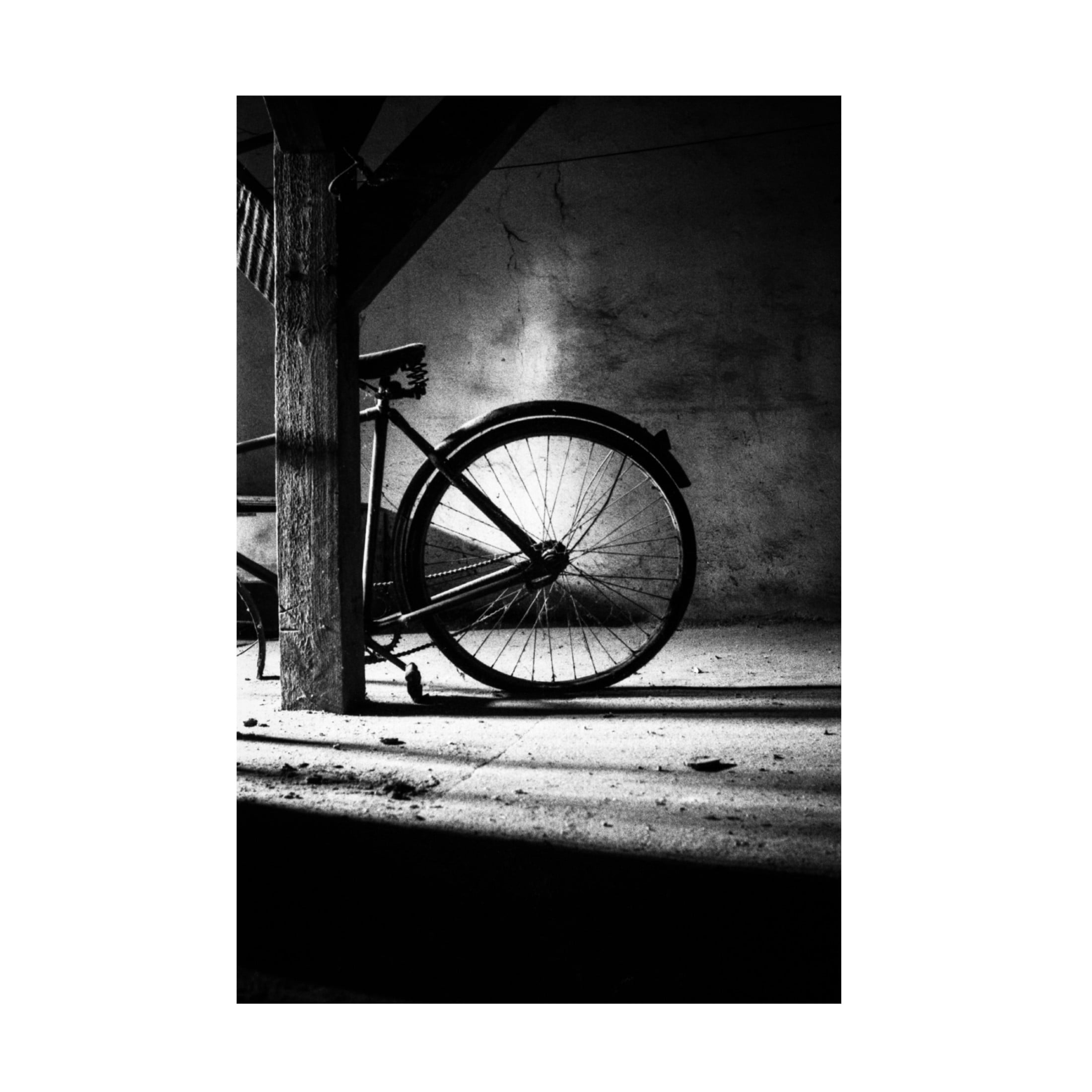 Canvas Wall Art - Zsolt Halasi 'No 315' Wall Art for Living Room, Bedroom, or Office D?cor by Trademark Fine Art - 22 x 32 Inches