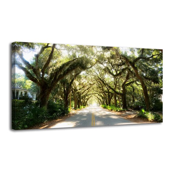 Canvas Wall Art avenue st augustine florida beautiful old tree Wall Decor for Living Room Bathroom Bedroom Office 20" x 40" Art Paintings, Ready to Hang