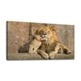 Canvas Wall Art baby lion is caressing father lion Wall Decor for