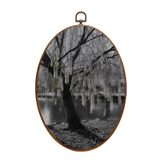 Canvas Wall Art backlight between branches weeping willow park Oval Framed Canvas Prints Vintage Wall Hanging Decor for Home Decorations 8.6"x11.4"