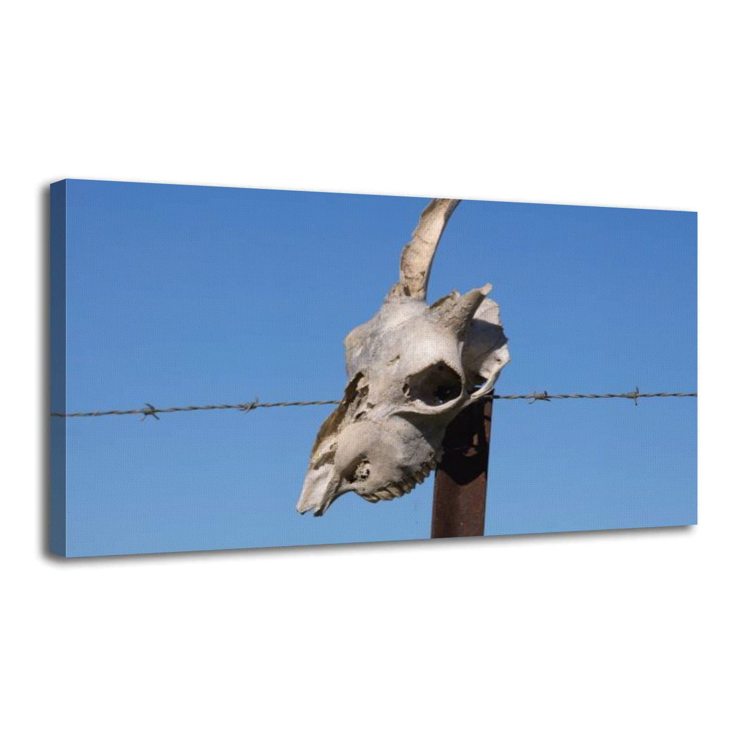 Canvas Wall Art bleached white animal skull fence highlighted by blue