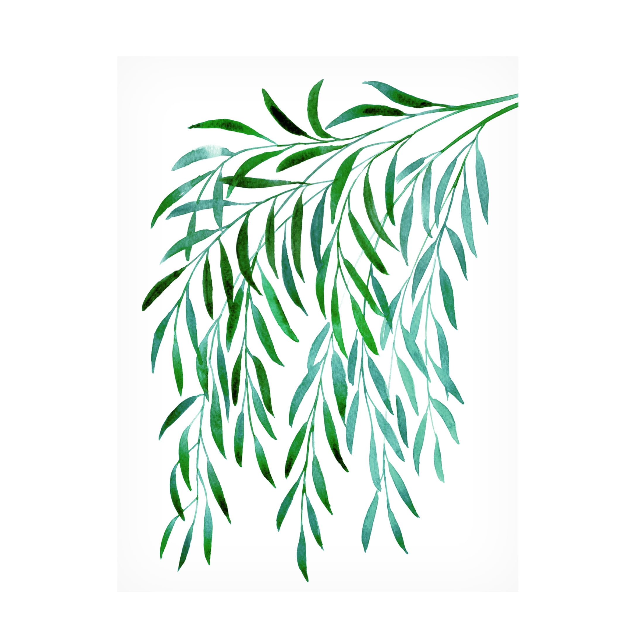 Canvas Wall Art - blursbyai 'Cascading Watercolor Eucalyptus' Wall Art for Living Room, Bedroom, or Office Décor by Trademark Fine Art - 24 x 32 Inches