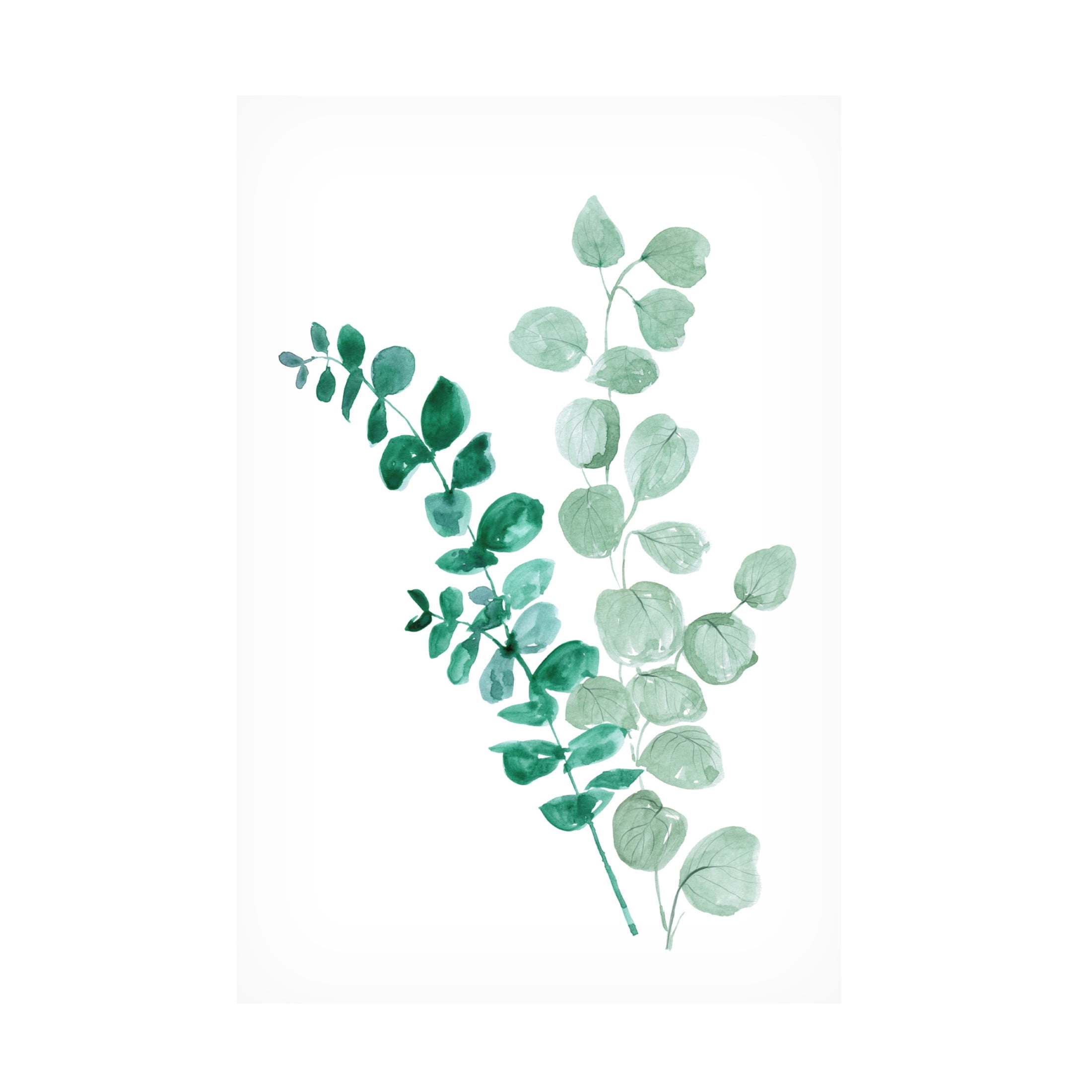 Canvas Wall Art - blursbyai 'Eucalyptus Two Ways' Wall Art for Living Room, Bedroom, or Office Décor by Trademark Fine Art - 12 x 19 Inches