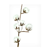 Canvas Wall Art - blursbyai 'Watercolor Cotton II' Wall Art for Living Room, Bedroom, or Office Décor by Trademark Fine Art - 14 x 19 Inches