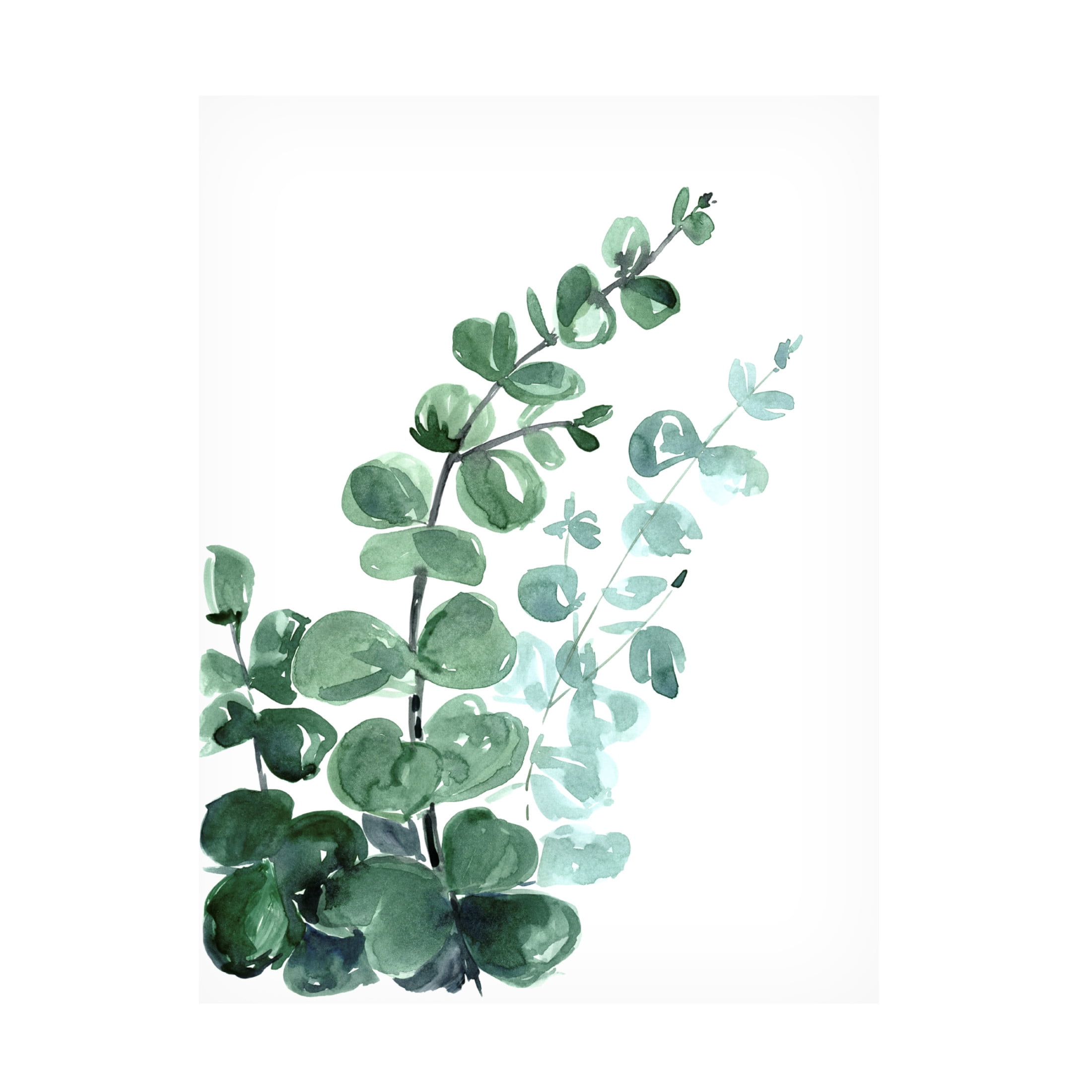 Canvas Wall Art - blursbyai 'Watercolor Eucalyptus Bouquet' Wall Art for Living Room, Bedroom, or Office Décor by Trademark Fine Art - 18 x 24 Inches