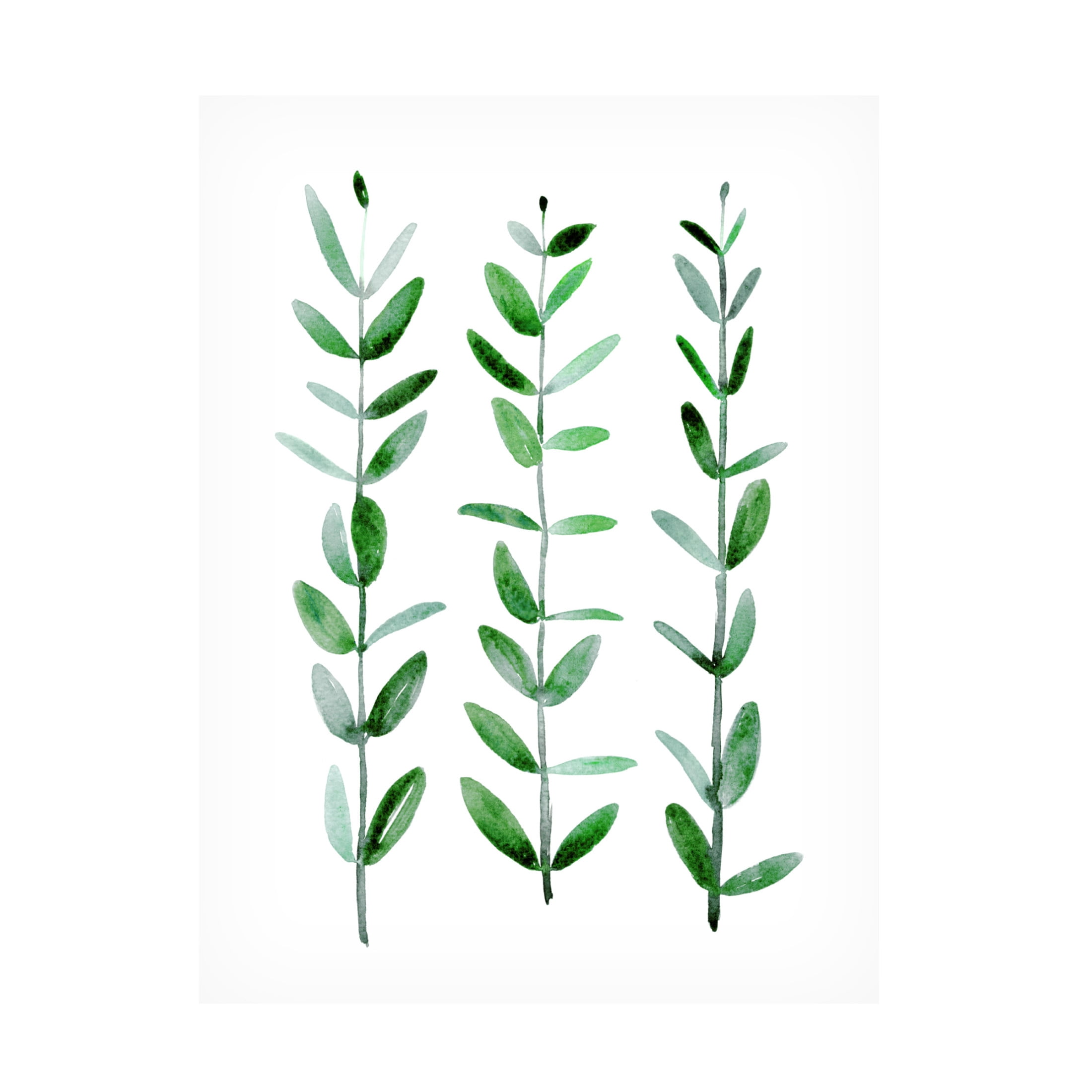 Canvas Wall Art - blursbyai 'Watercolor Eucalyptus Parvifolia' Wall Art for Living Room, Bedroom, or Office Décor by Trademark Fine Art - 35 x 47 Inches