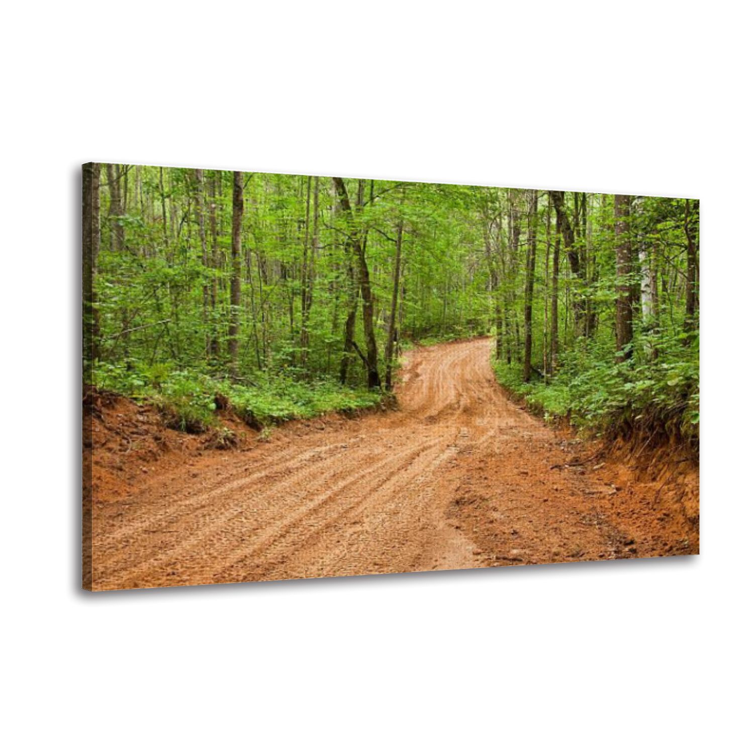 Canvas Wall Art sandy road off road pictures royalty photos Wall Decor ...