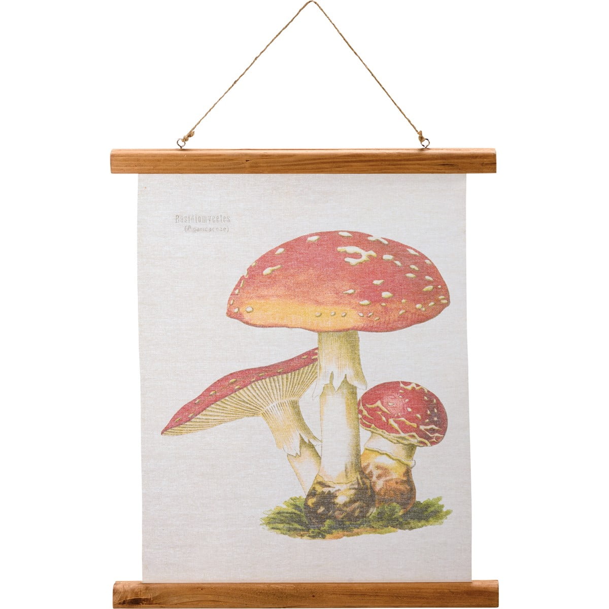 Vintage Red Cap Mushroom Canvas Wall Art with Wood Frame