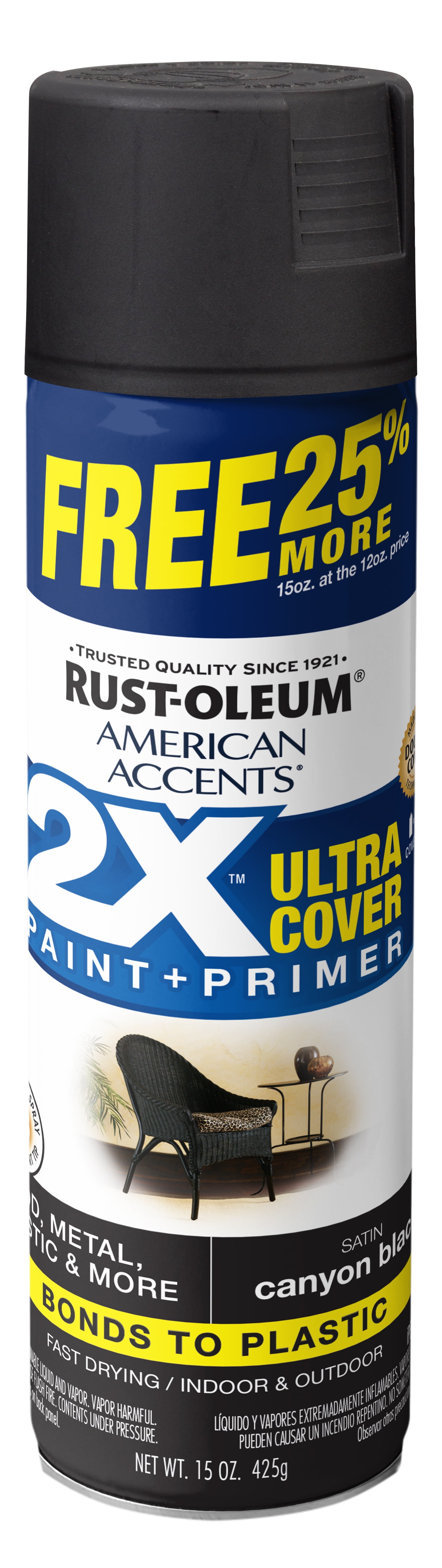 Buy Rust-Oleum 268407 Spray Paint, Satin, Canyon Black, 340 g, Can Canyon  Black