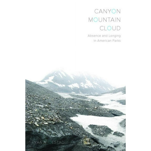 Canyon, Mountain, Cloud : Absence and Longing in American Parks (Paperback)