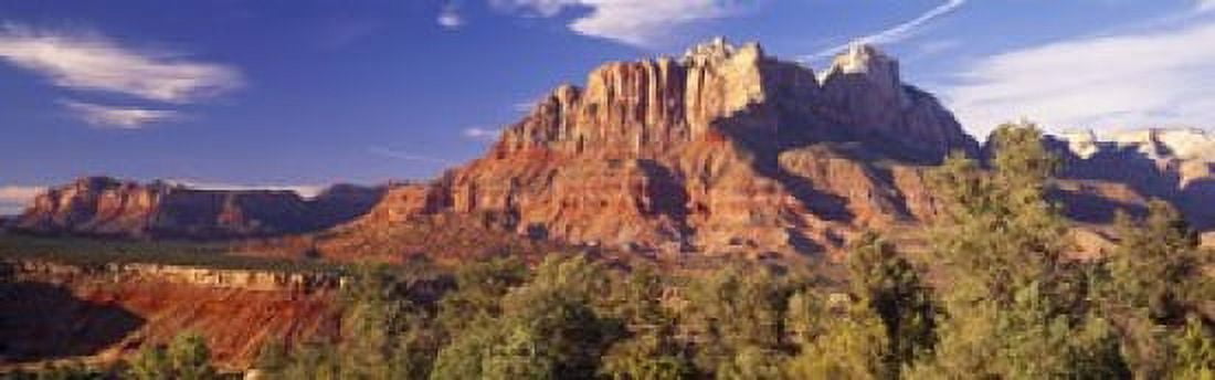 Canyon surrounded with forest Escalante Canyon Zion National Park Washington County Utah USA Canvas Art - Panoramic Images (18 x 6)
